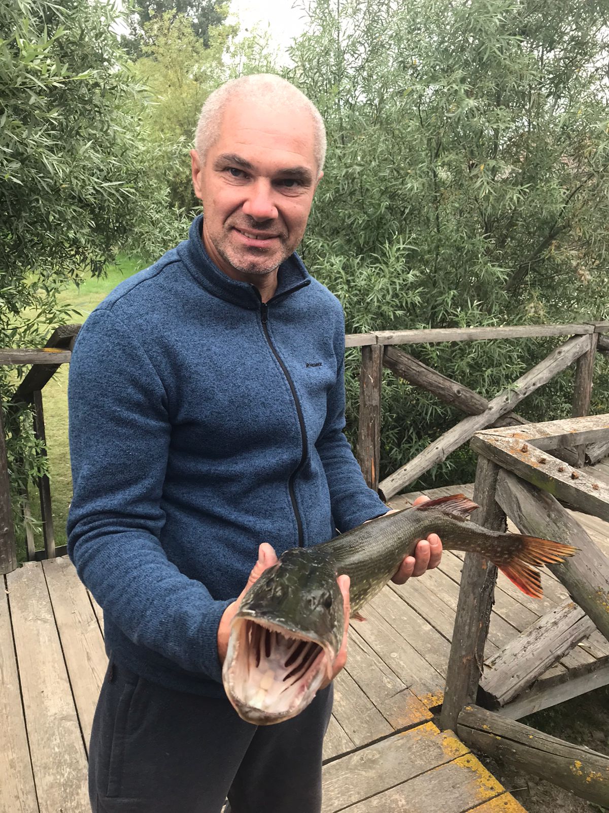 Фото Олигри Fish