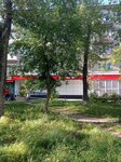 Magnit (posyolok Zvyozdny, ulitsa Lenina, 4), grocery
