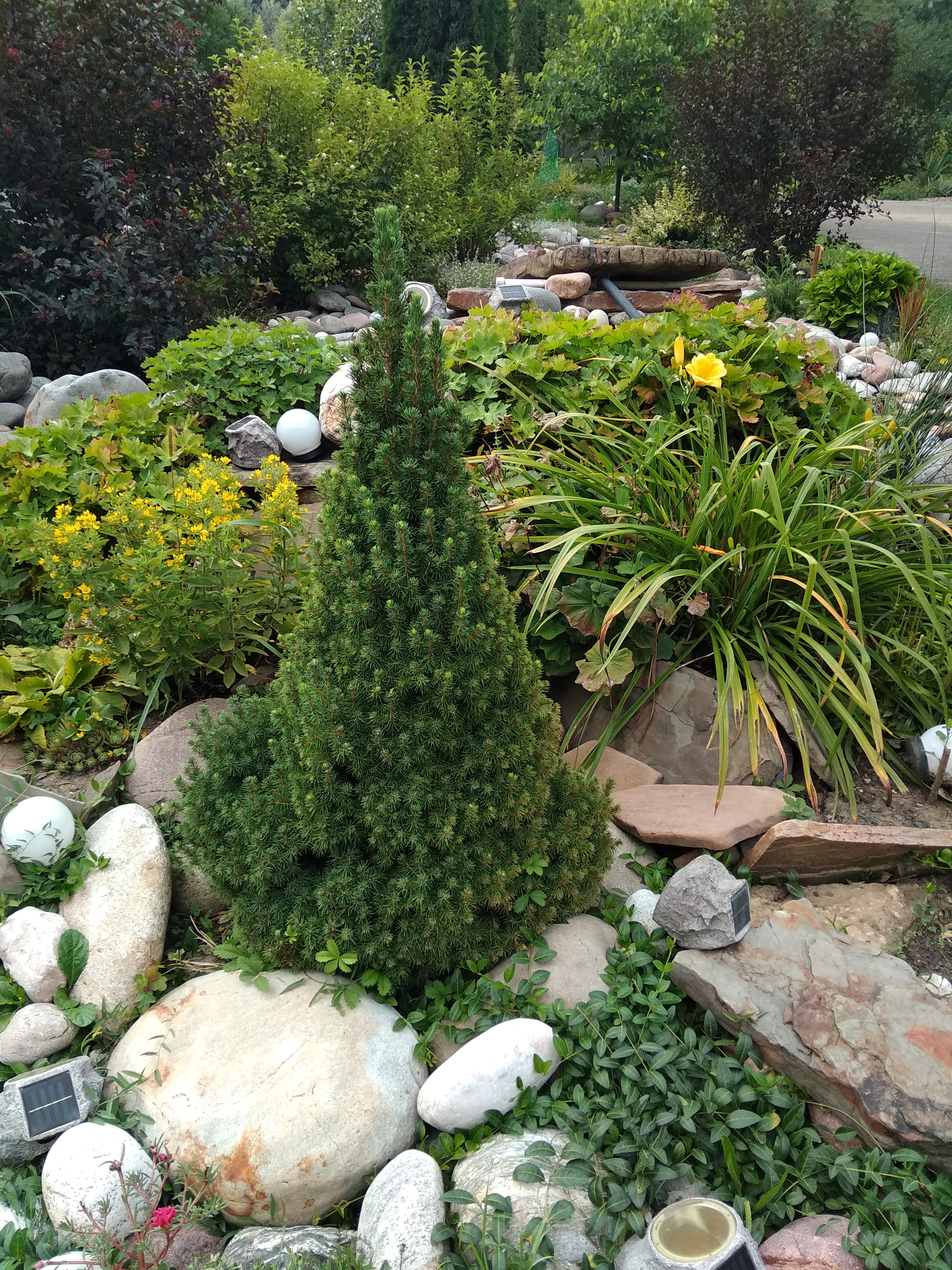 Фото Кордес