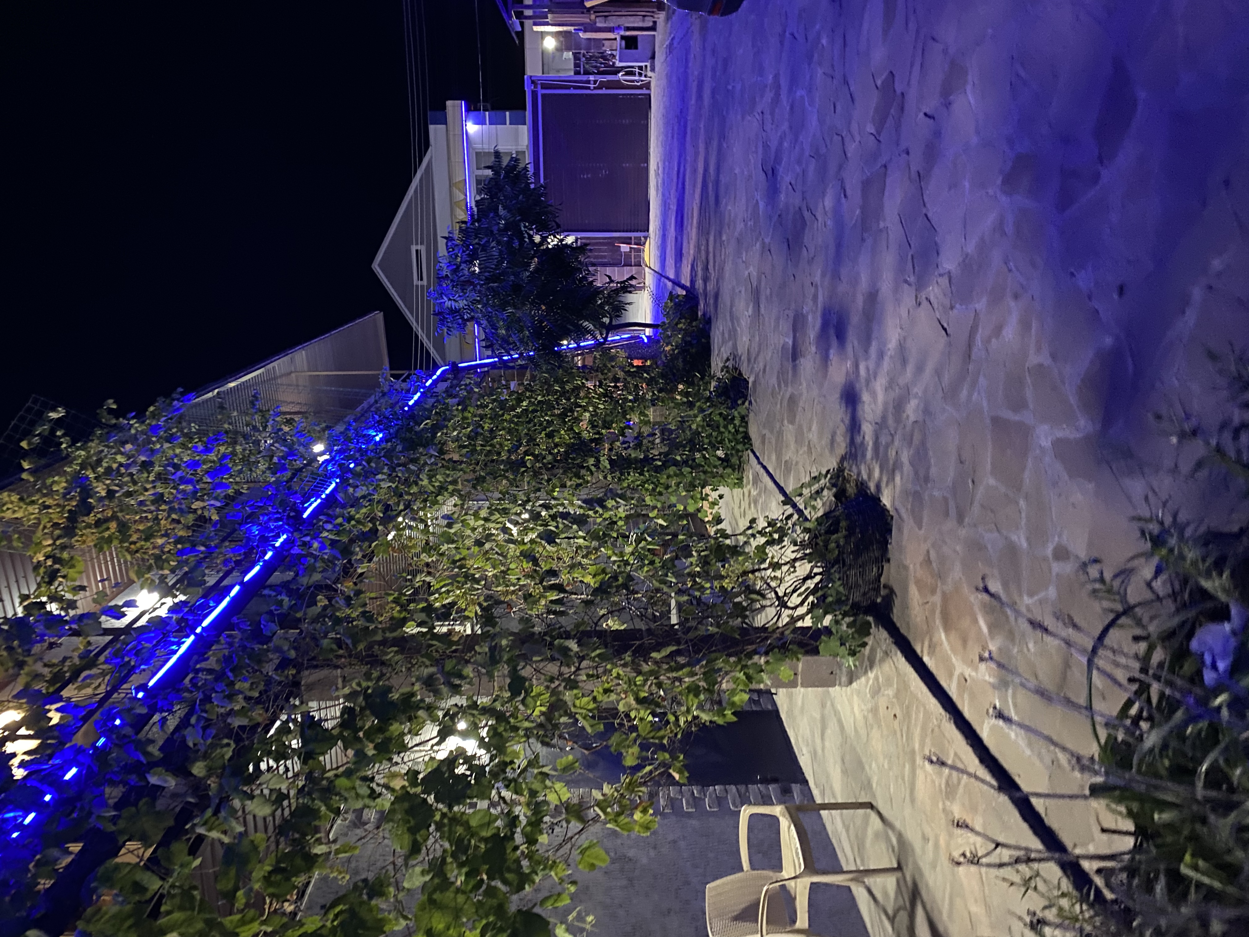 Фото Астория