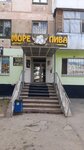 More piva (Qobylandy Batyr dańǵyly, 44) ، محل بقالة