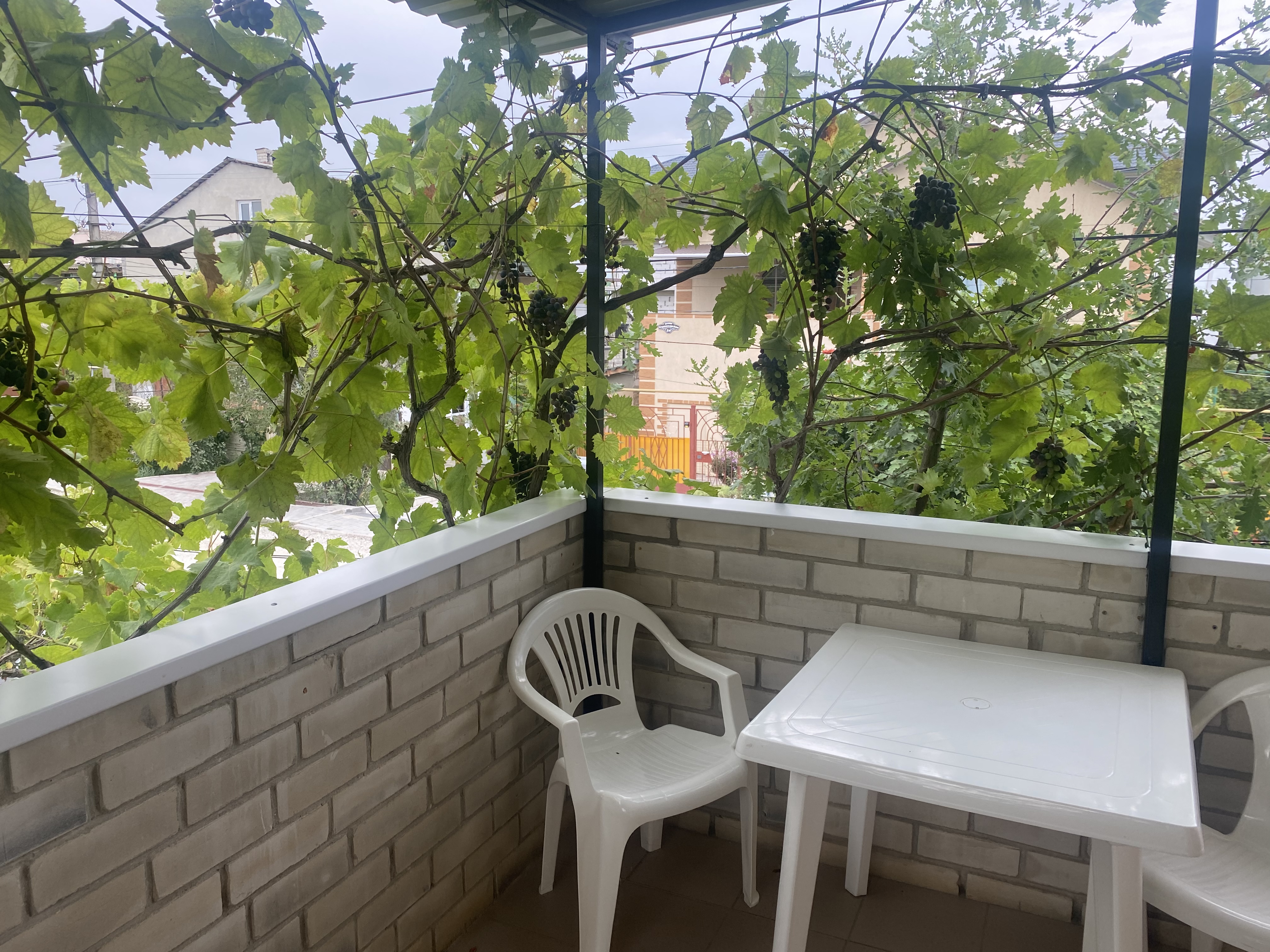 Фото Черноморский Дворик