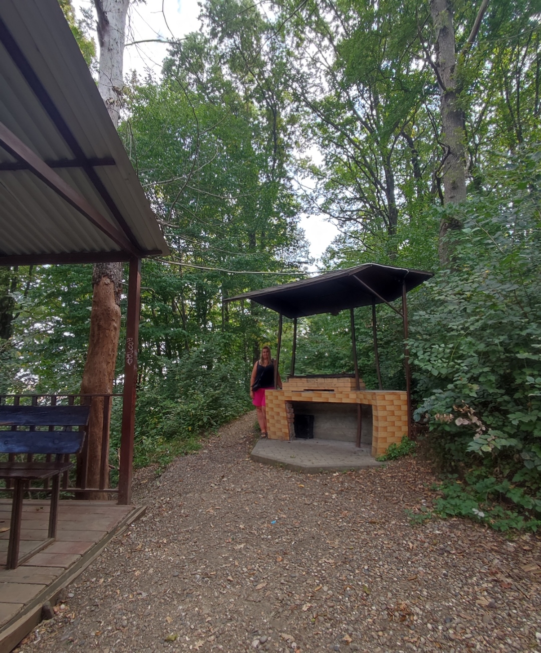 Фото Берёзка