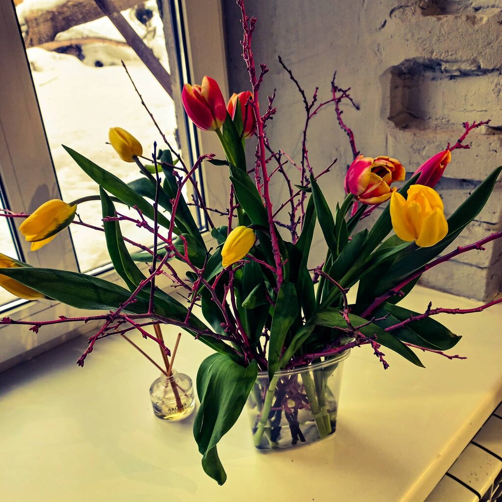 Landmark, attraction Дом М.А. Полушкина, Ivanovo, photo