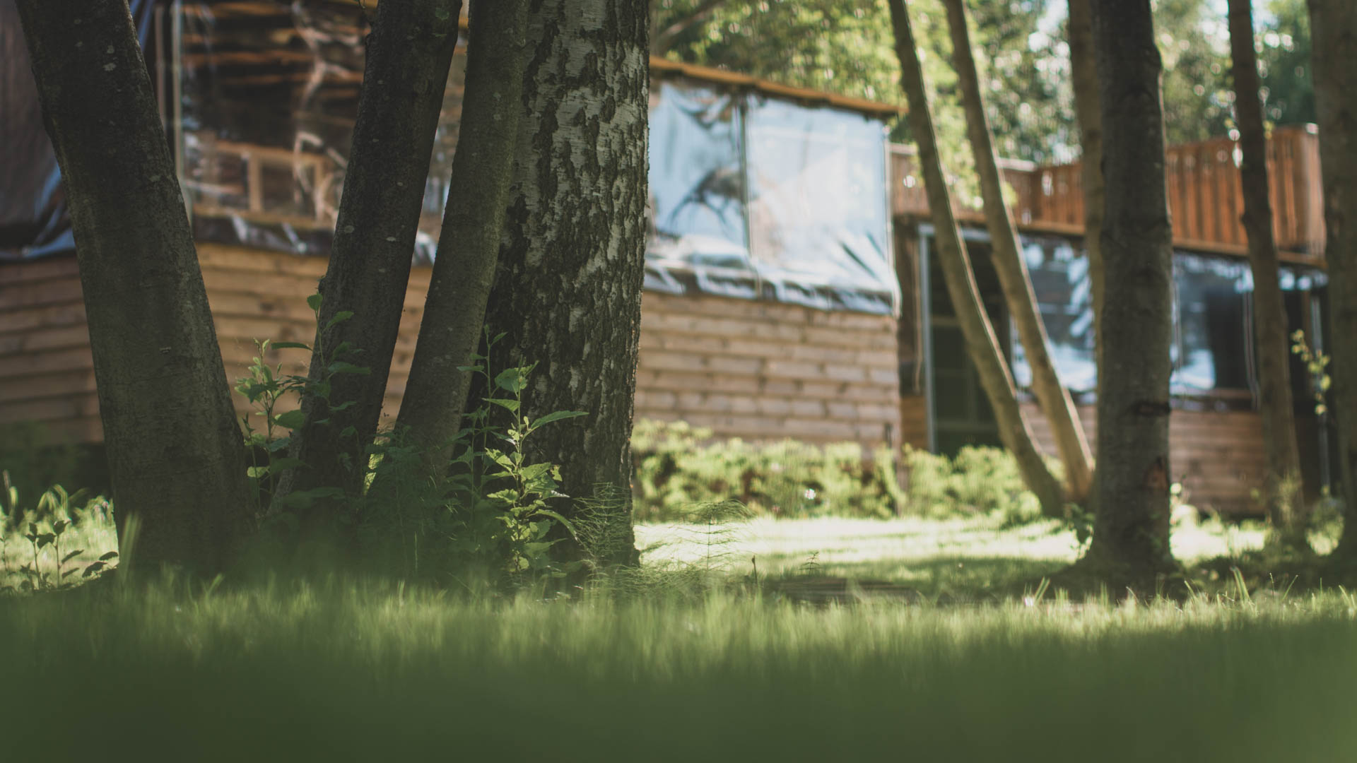 Фото Высокий берег