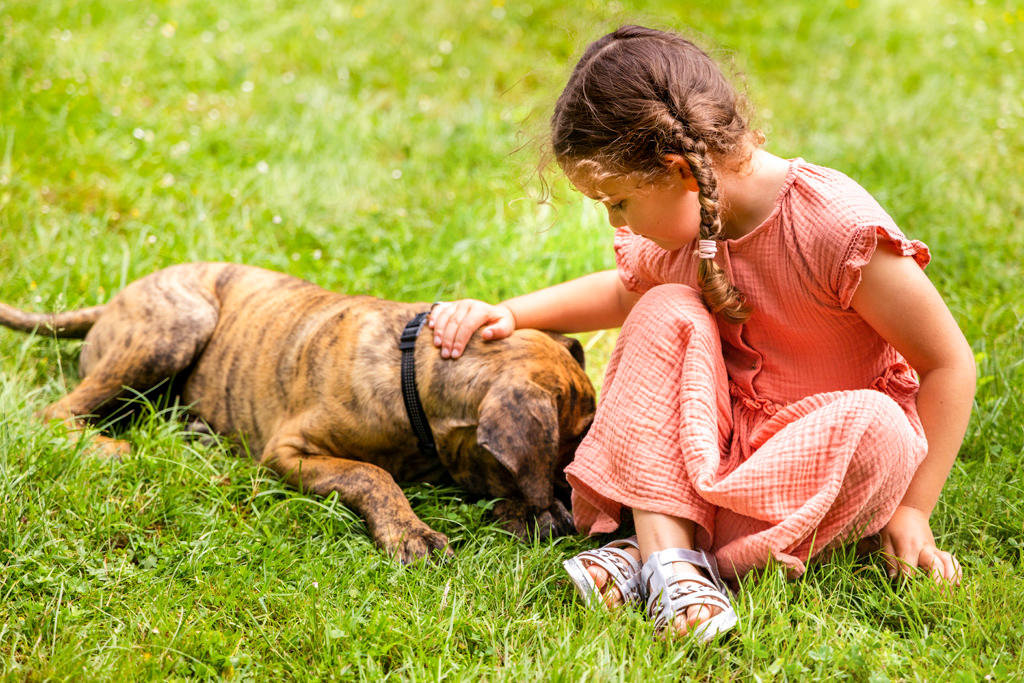 Фото Mercure Tours Nord