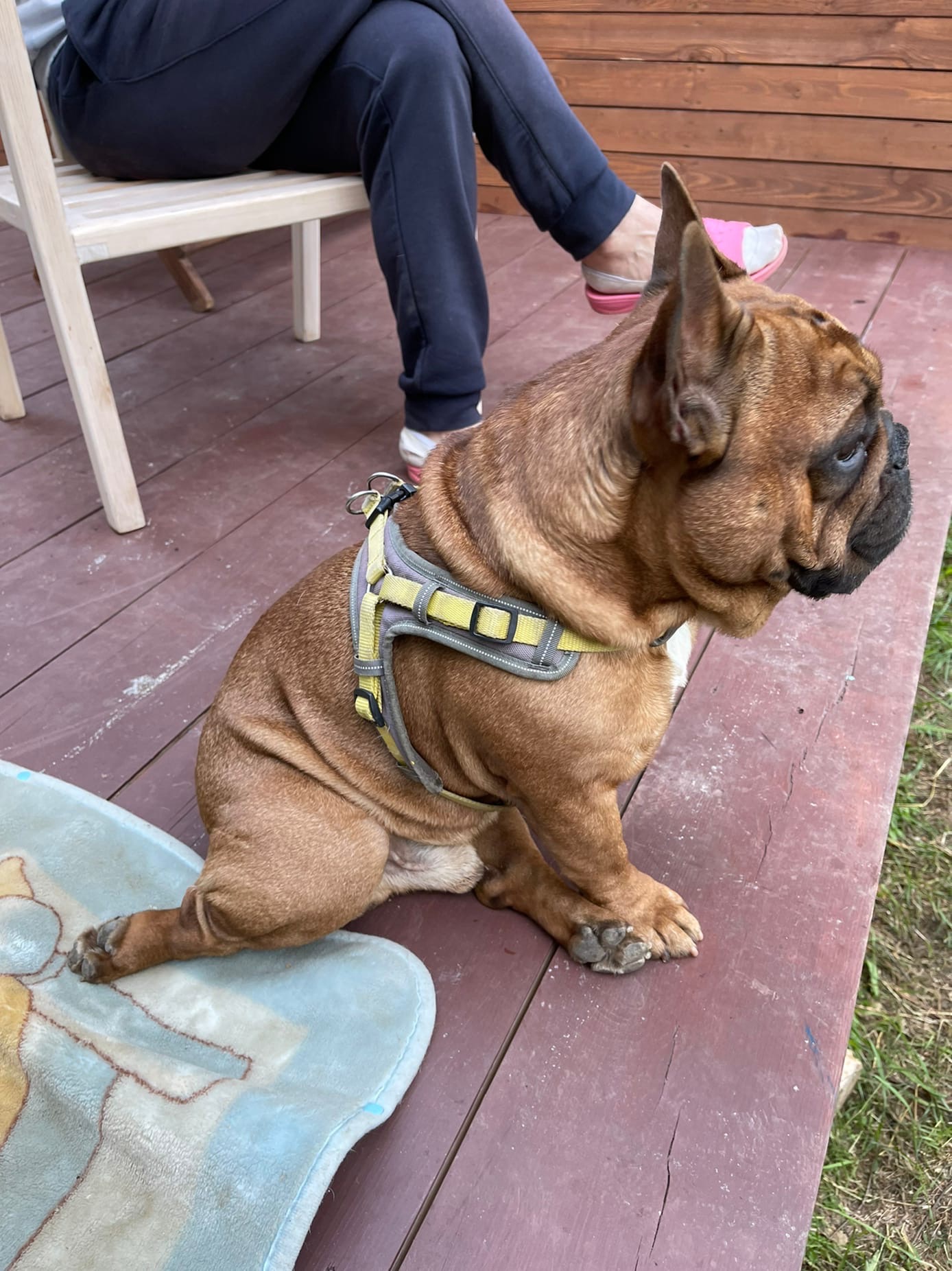 Фото Дом Китов