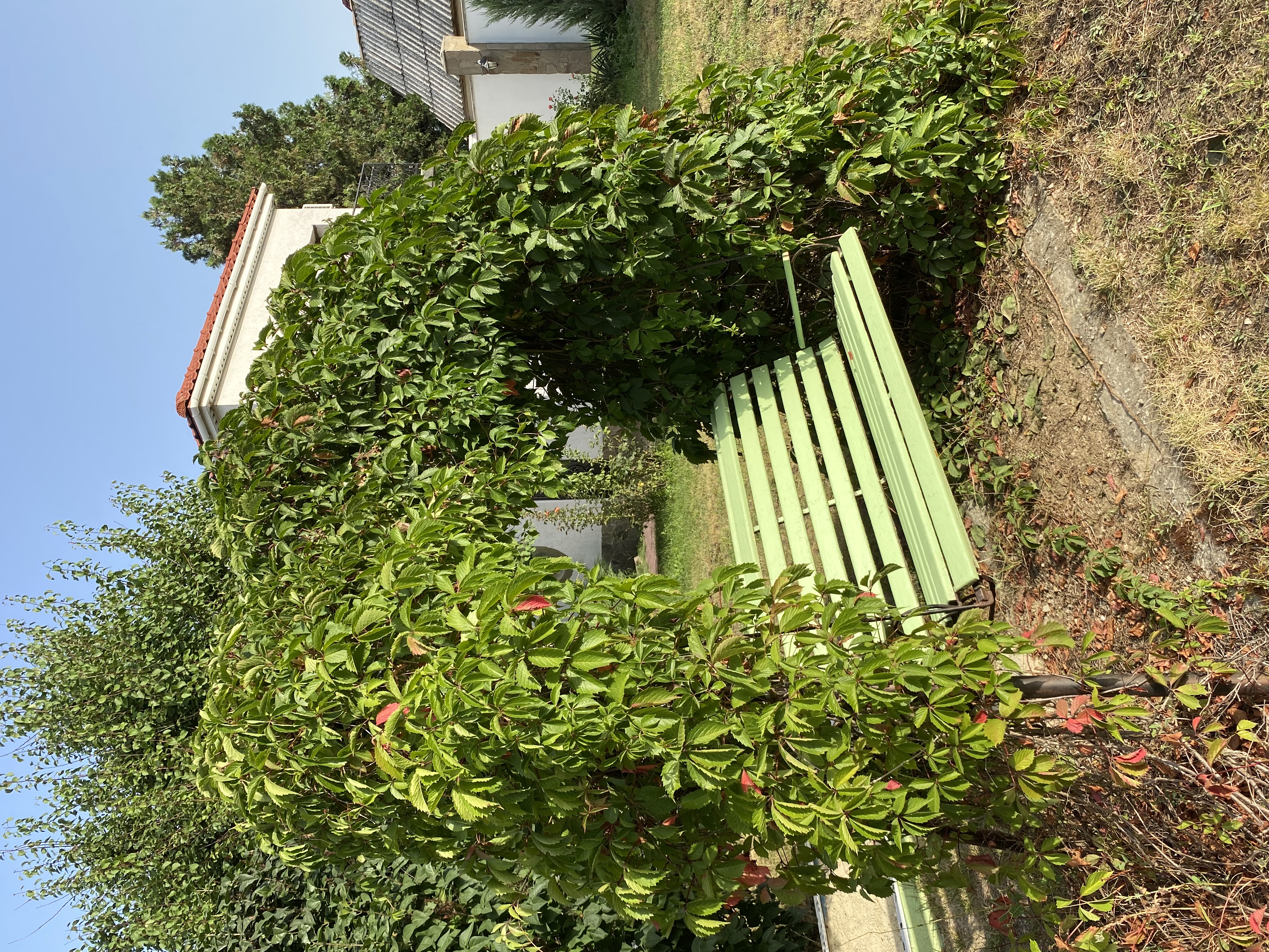 Фото Русская усадьба