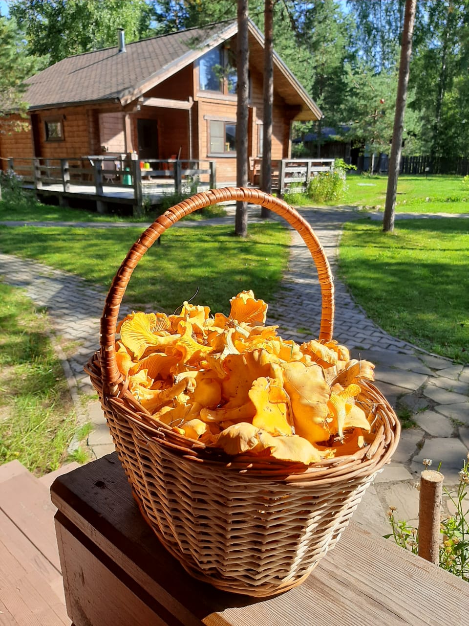 Фото Семиозерие