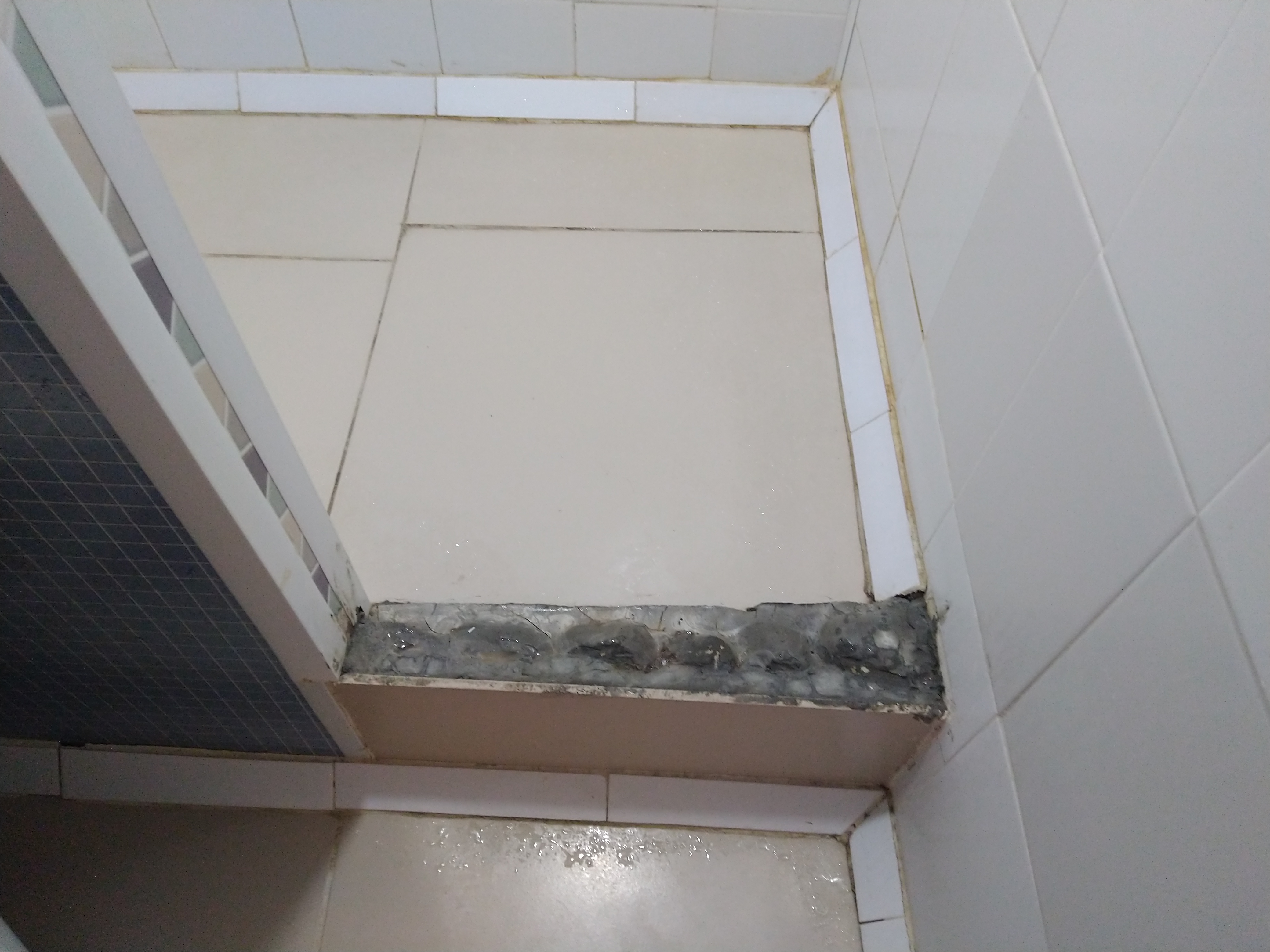 Фото Ласточкино гнездо