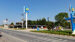Opet (Kocaeli, İzmit, Çayırköy Mah., İzmit Kandıra Yolu Cad., 160) ، محطة وقود