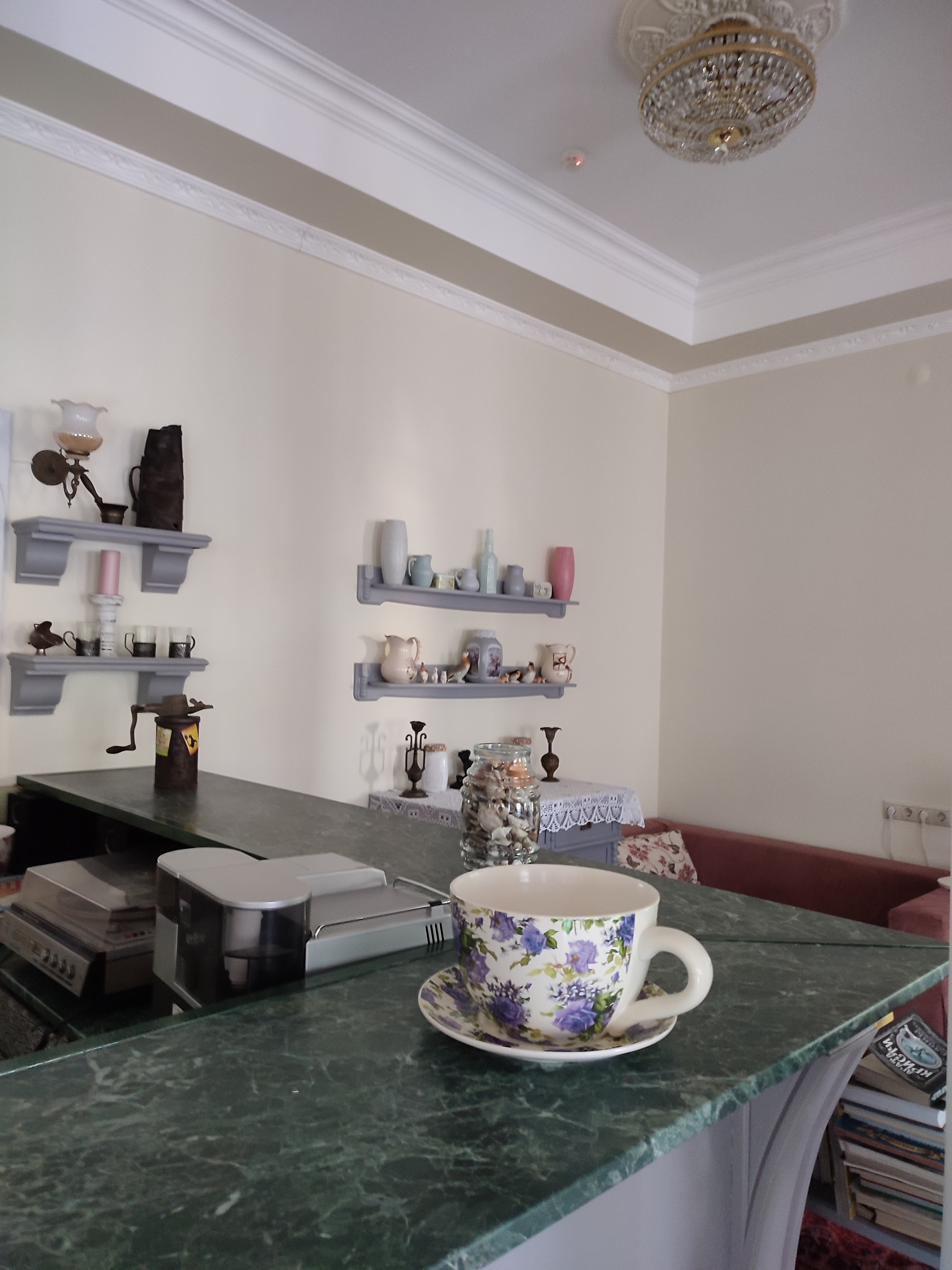 Фото Серый кот