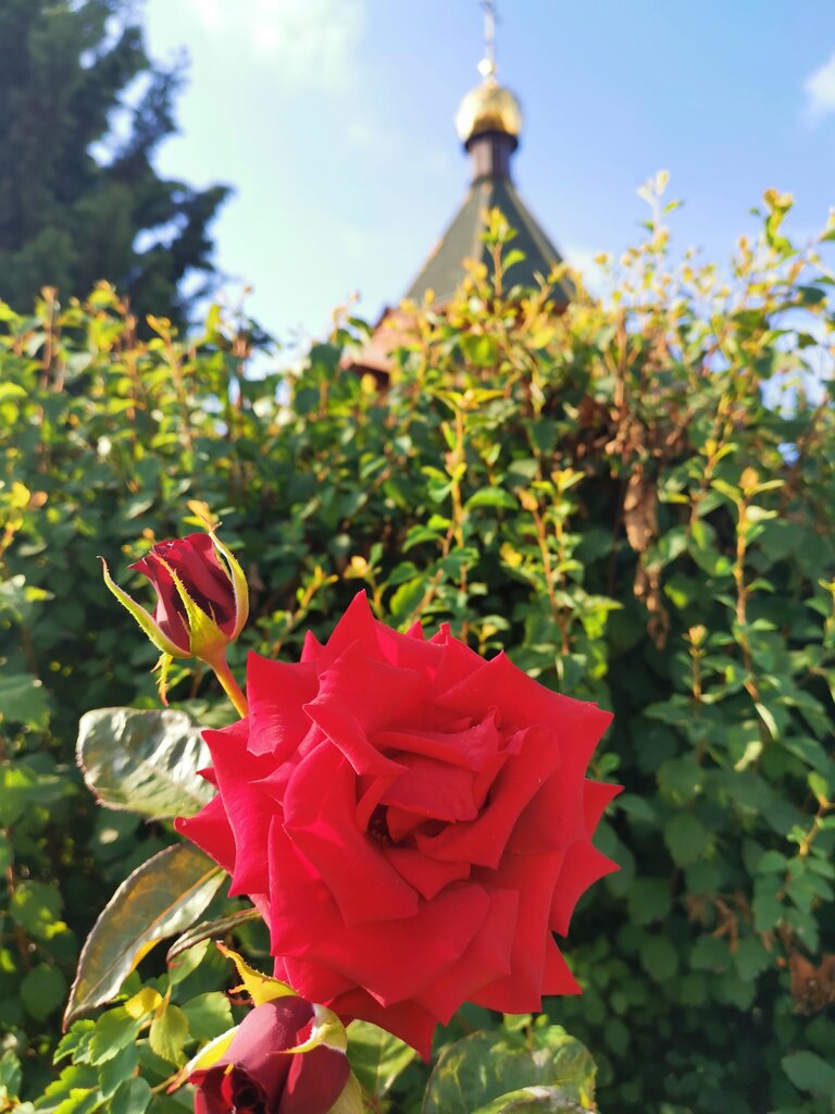 Orthodox church Temple of St. Sergius of Radonezh, Sevastopol, photo