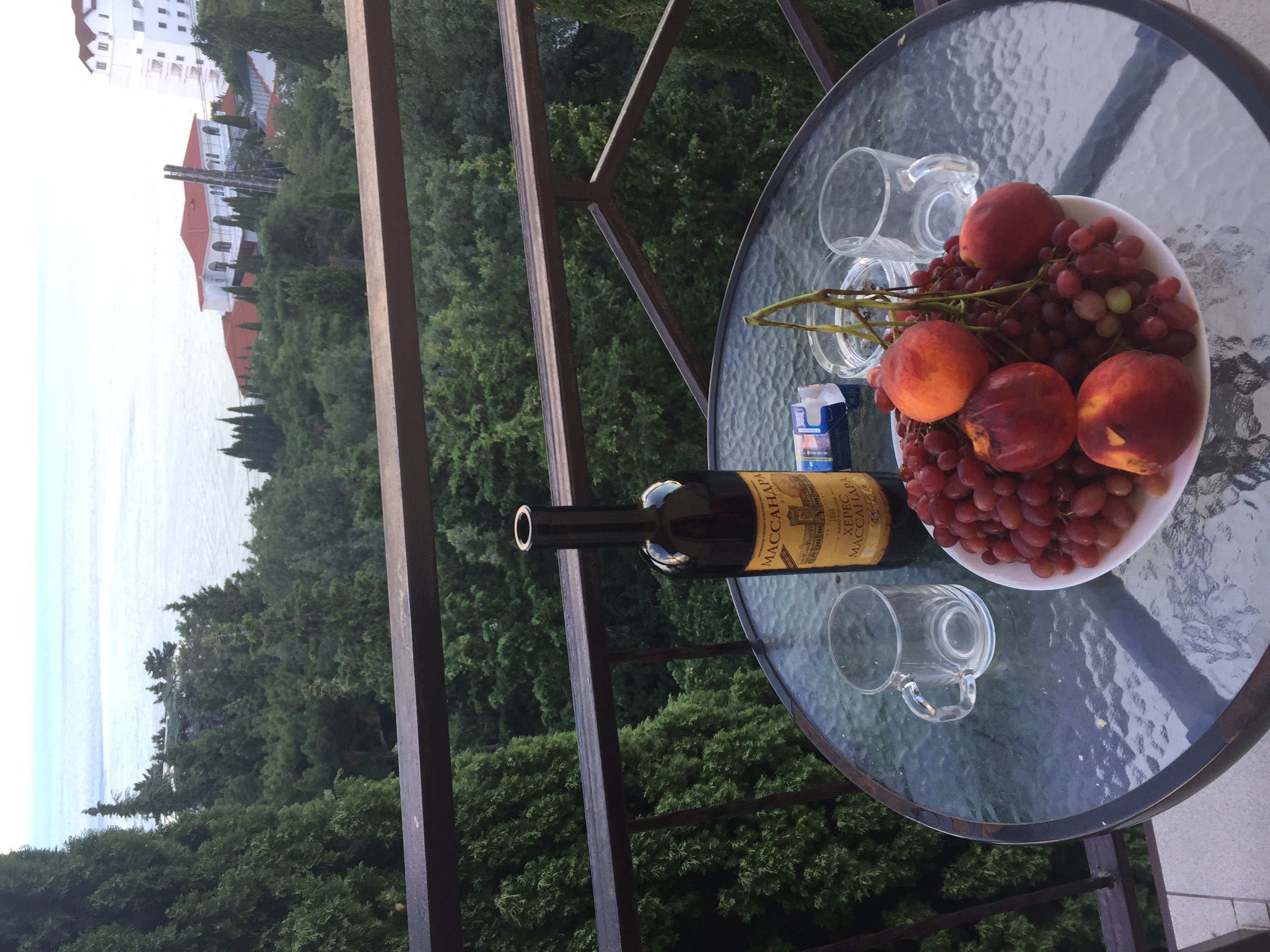 Фото Пальма