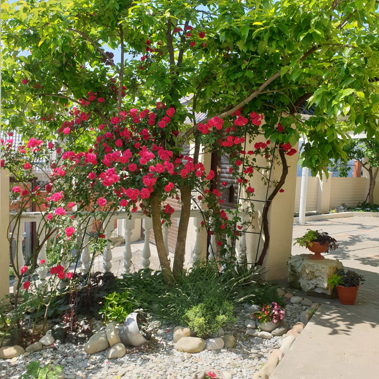 Фото Фэмили