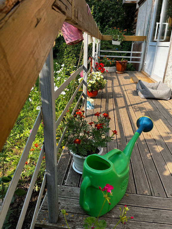 Фото Эко-Усадьба Ошеть