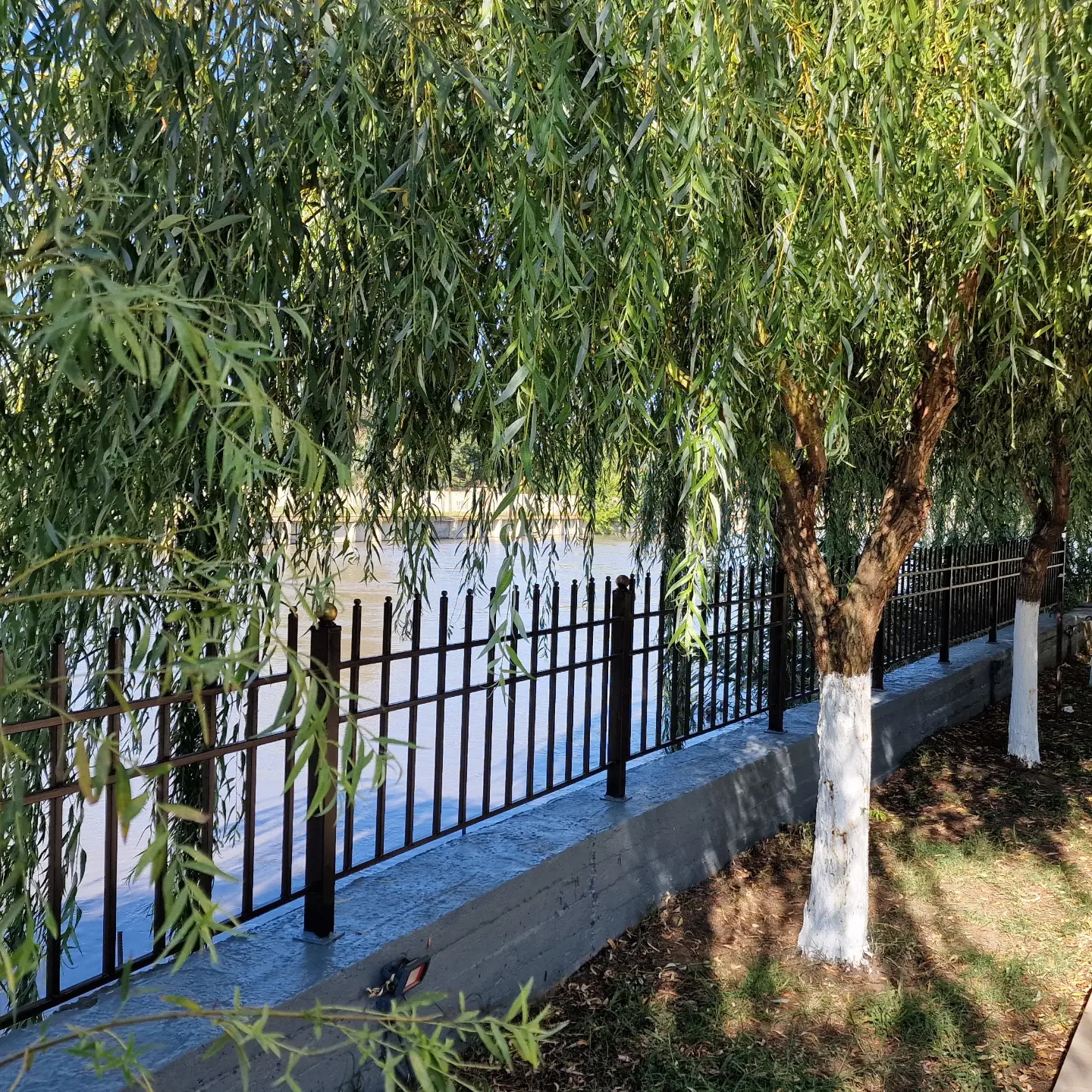 Фото Европа