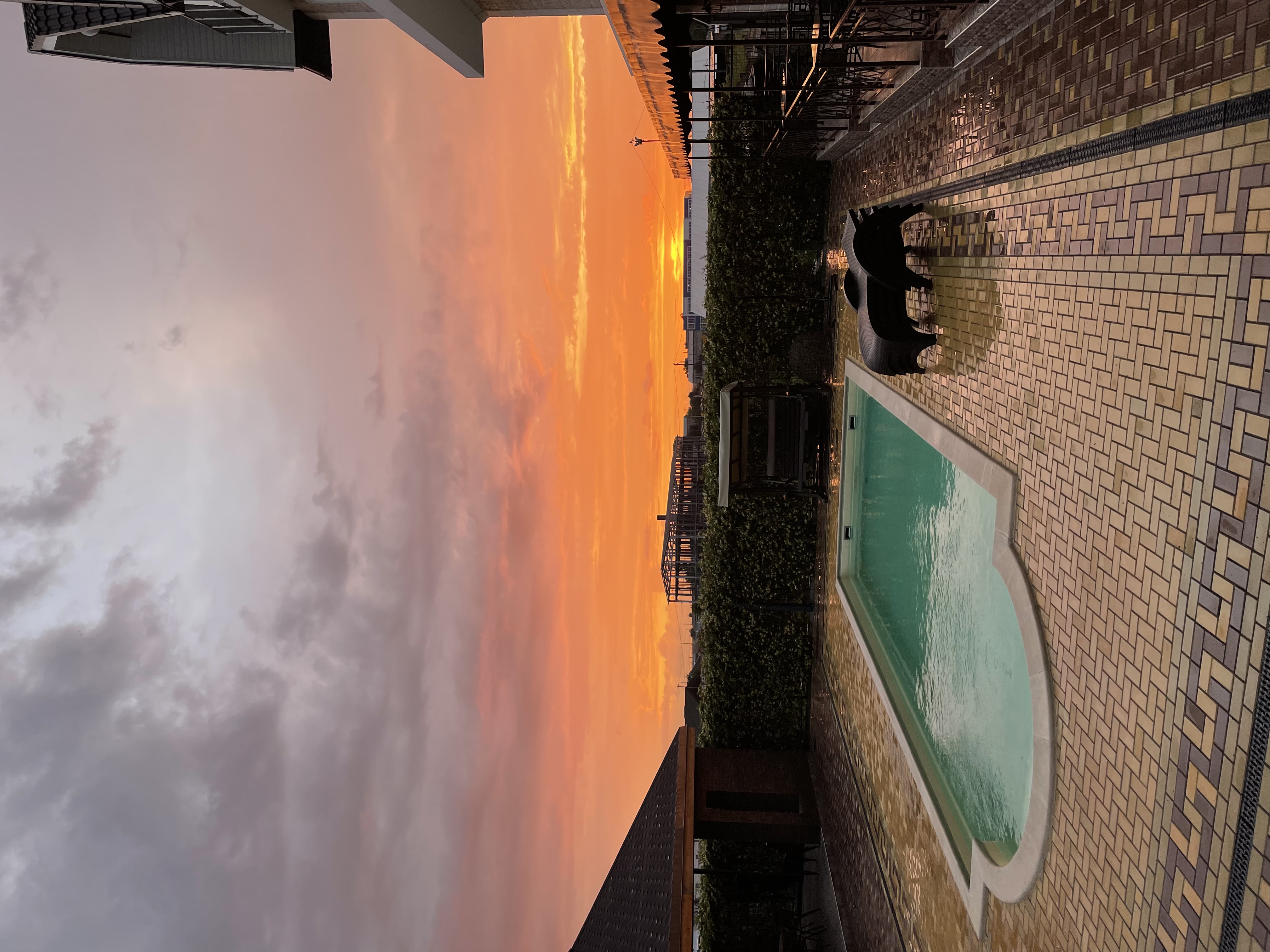 Фото Белая Лилия