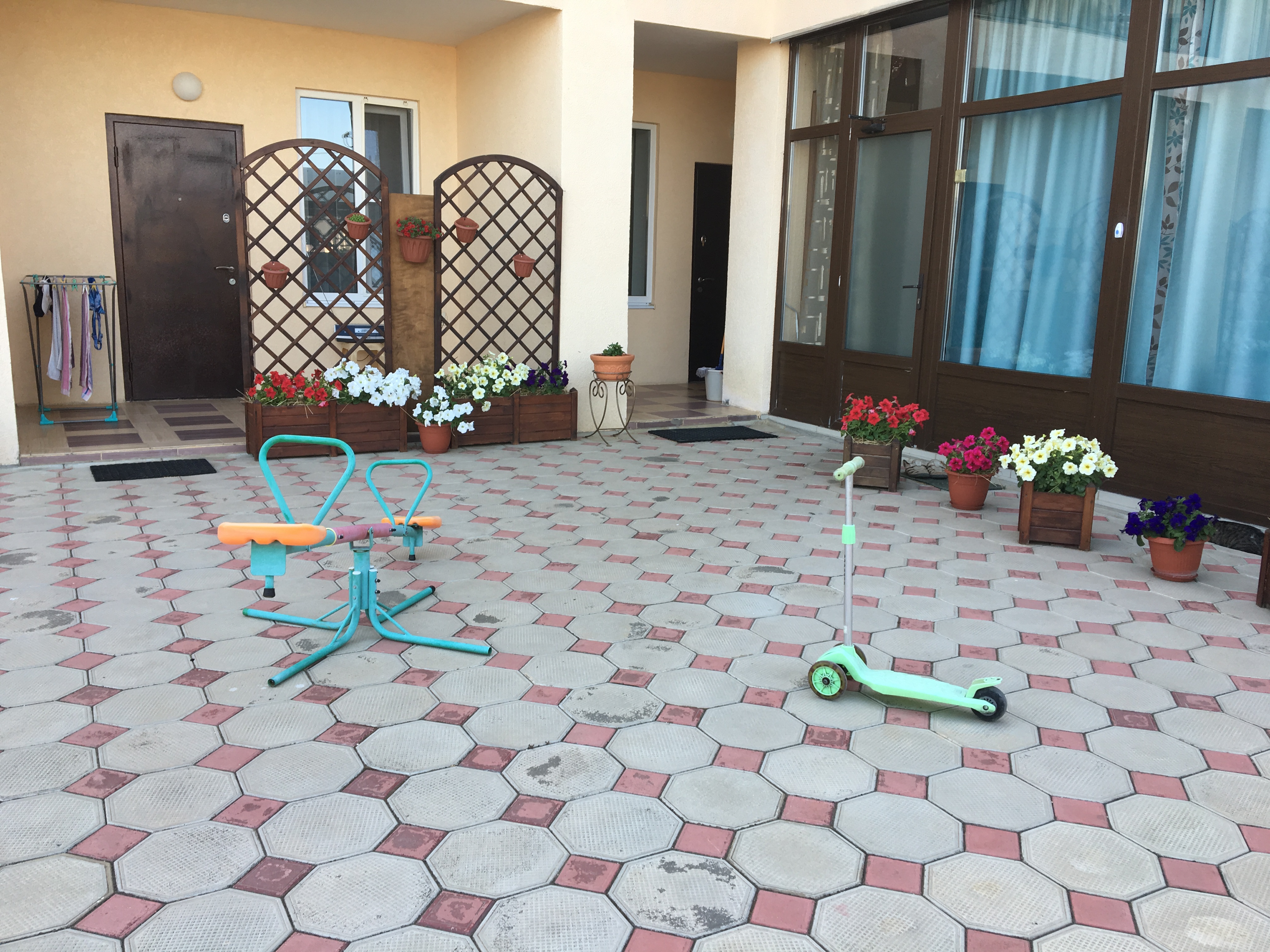 Фото Сафари