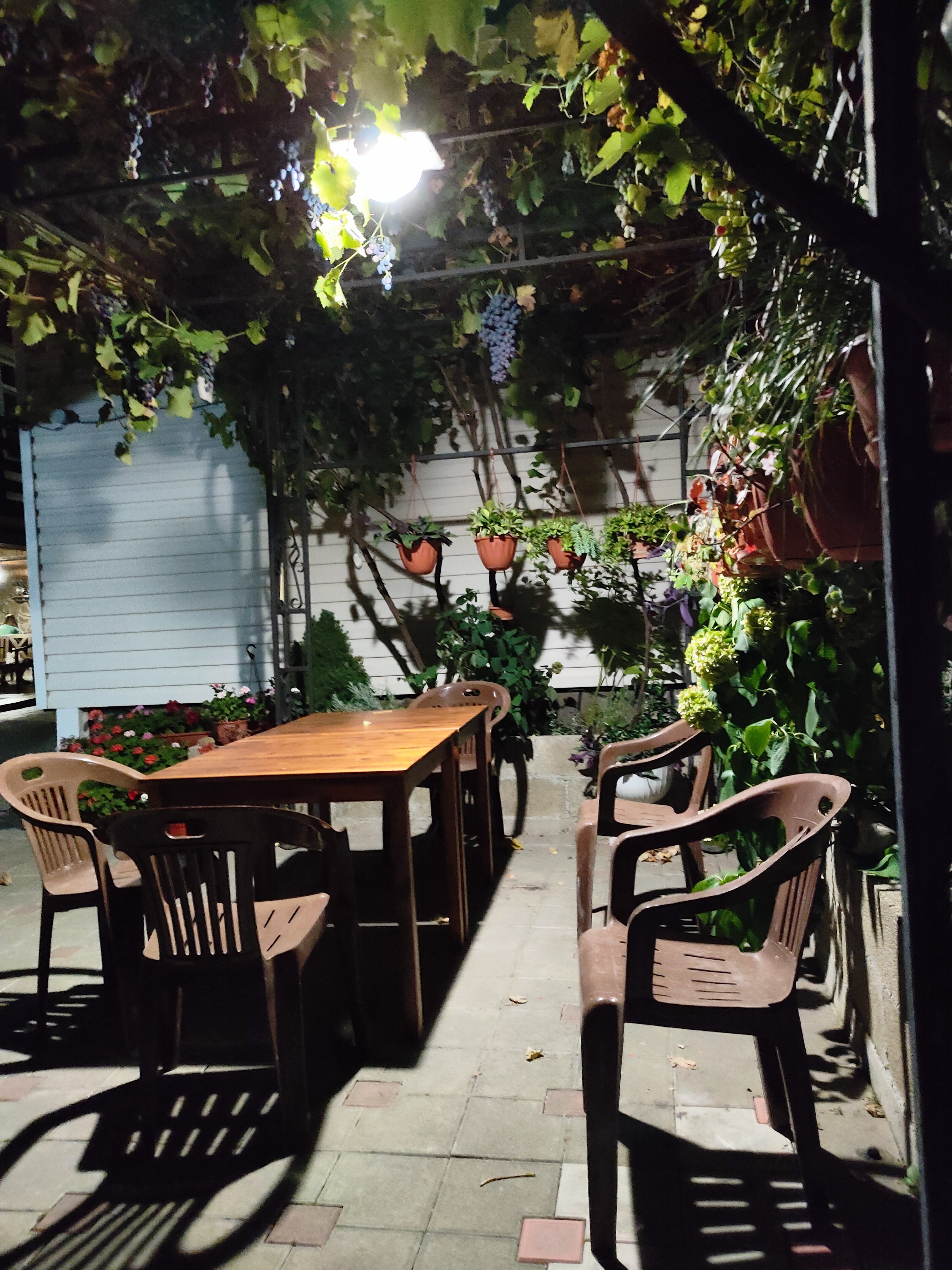 Фото Киркоров Сити