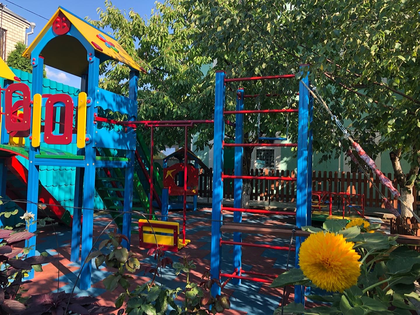 Фото Белая берёза