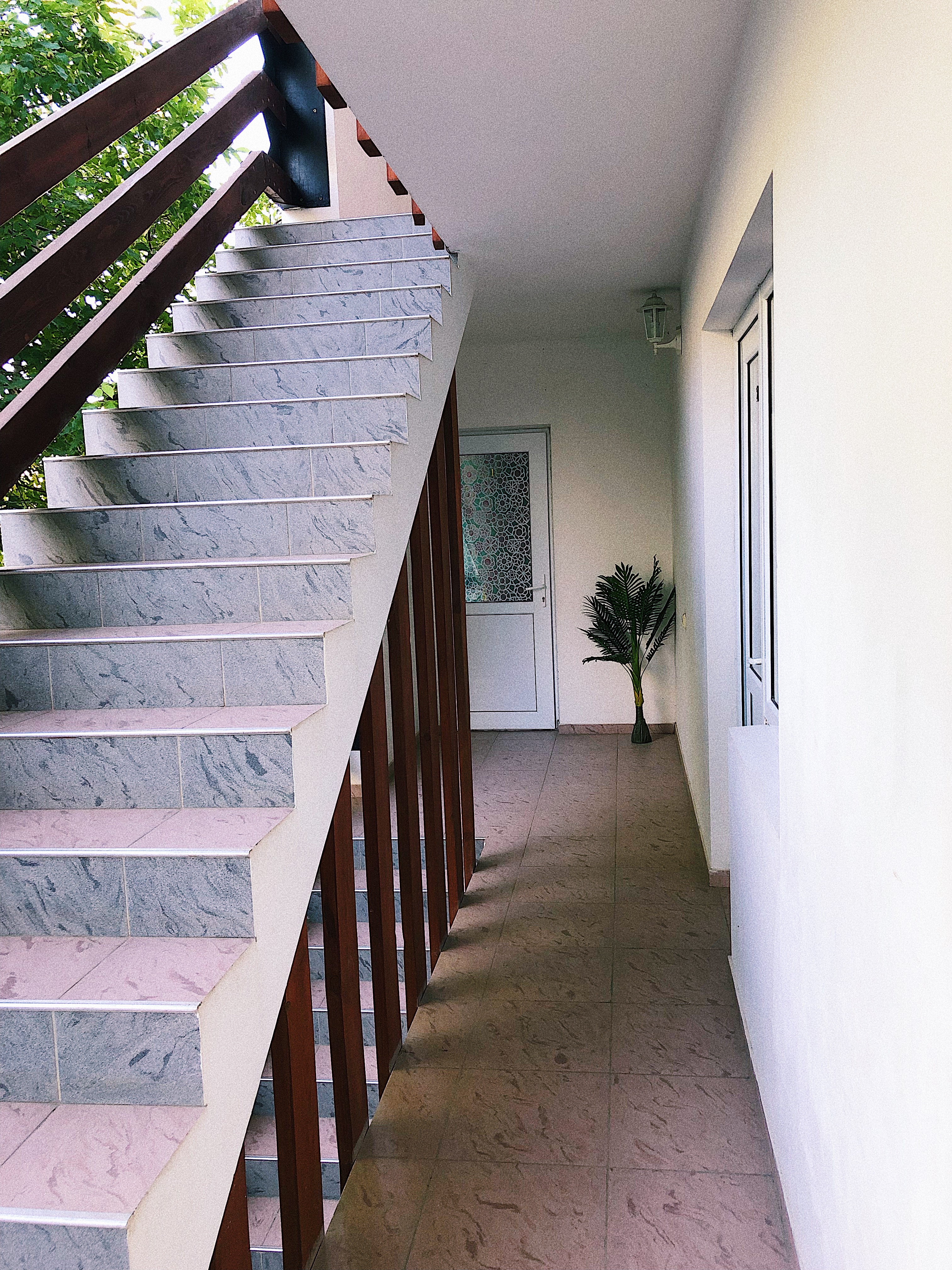 Фото Белая берёза