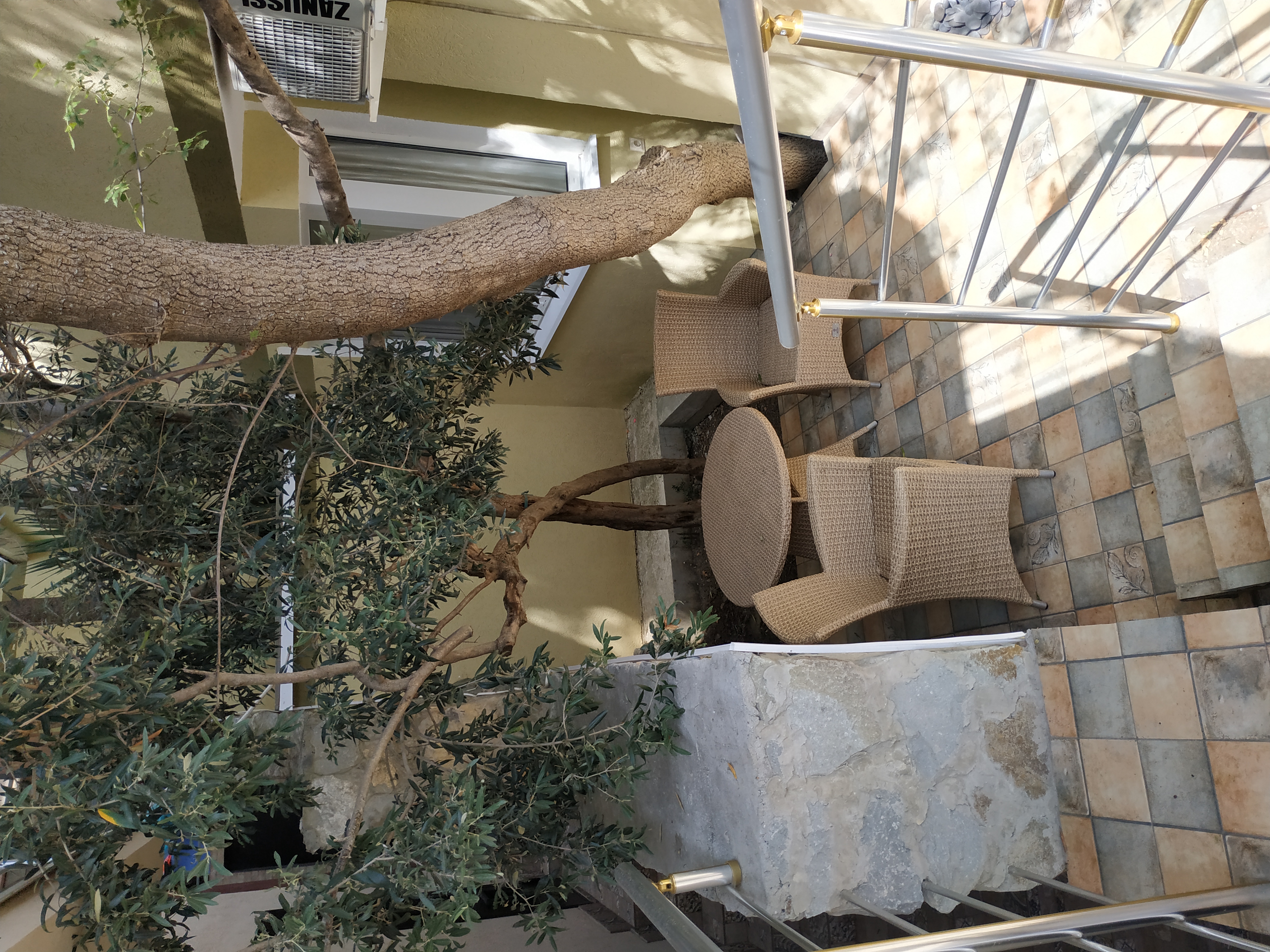 Фото Magic Kingdom