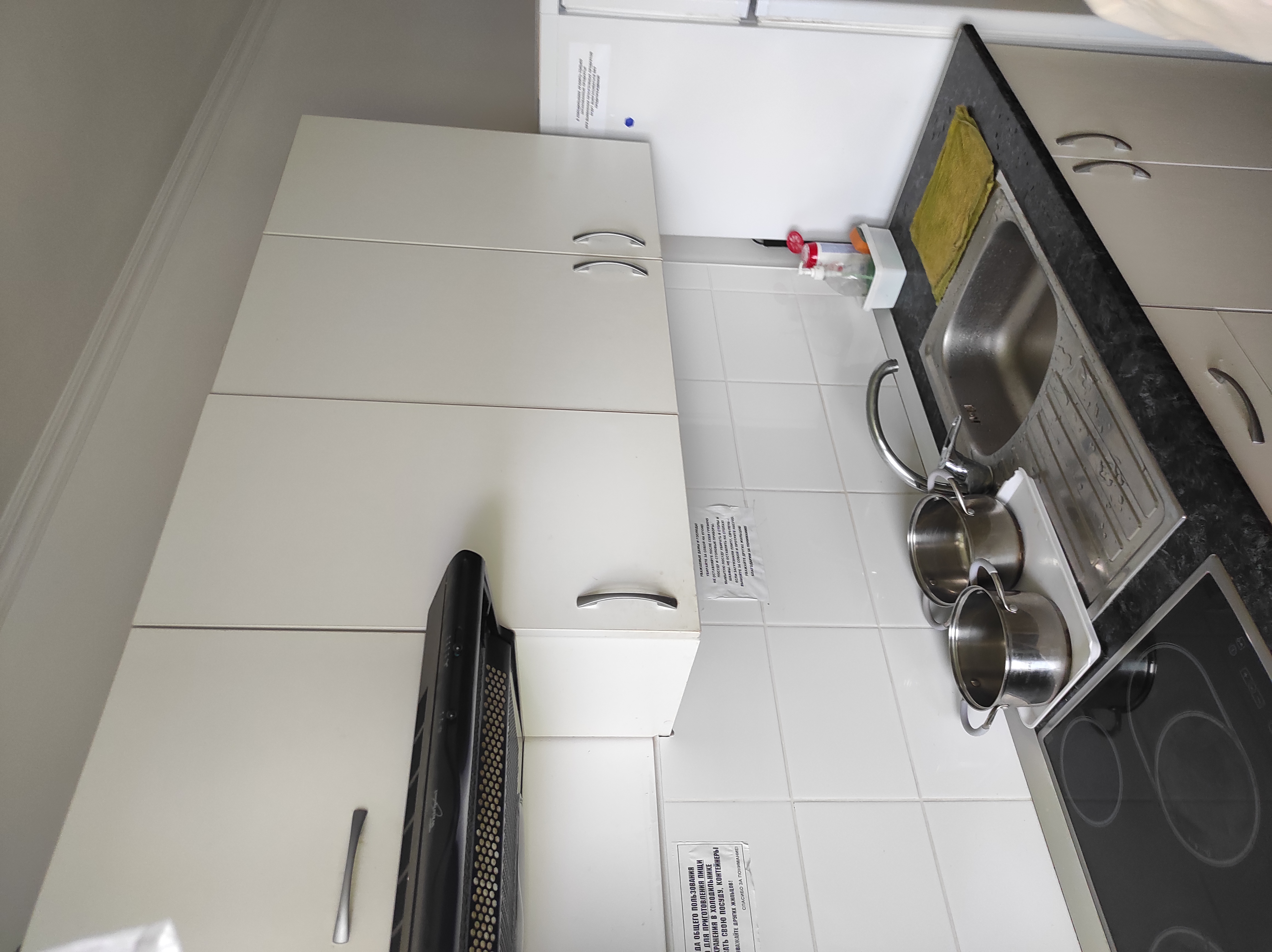 Фото Берёзка