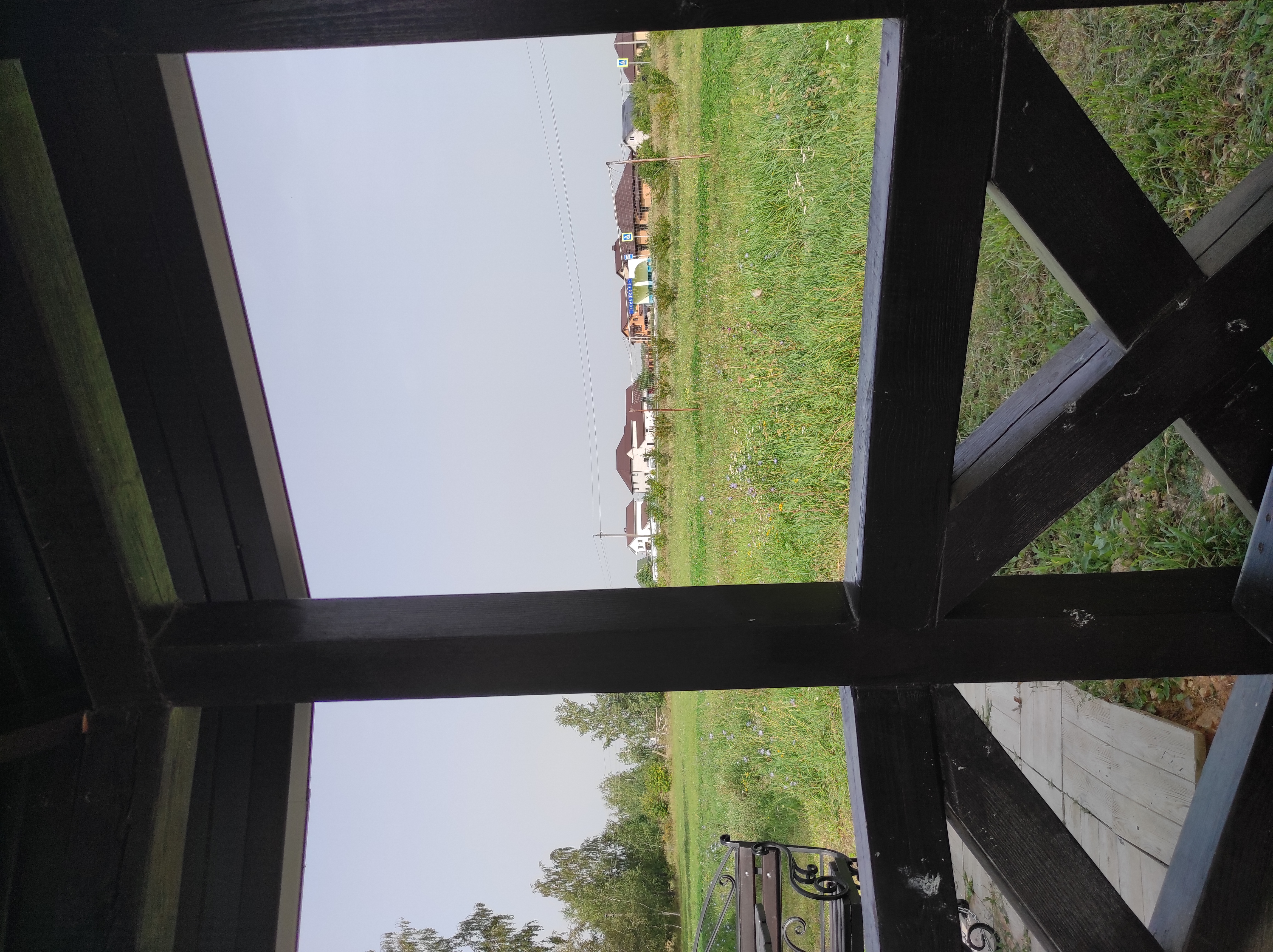 Фото Берёзка