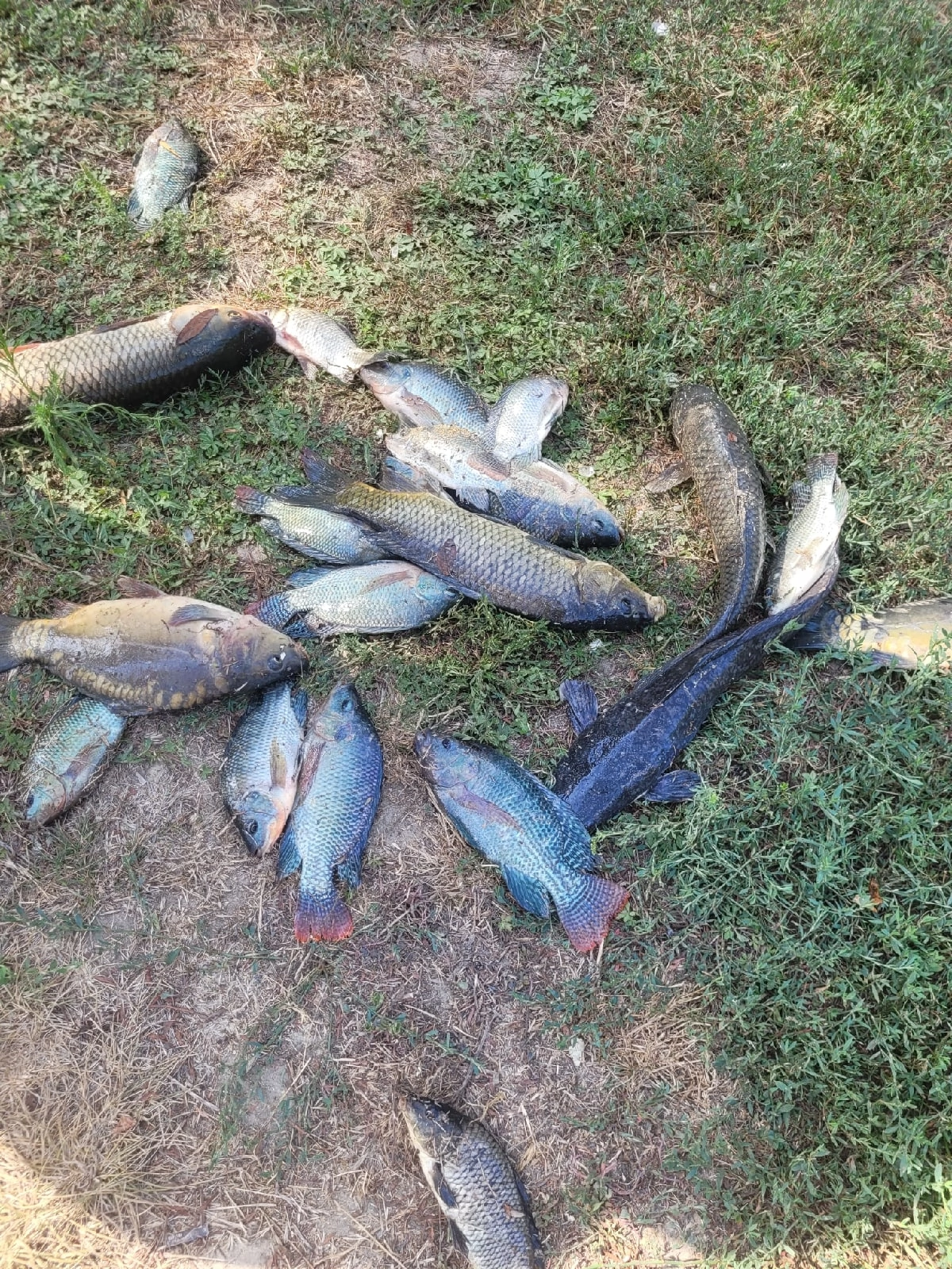 Фото Междуморье