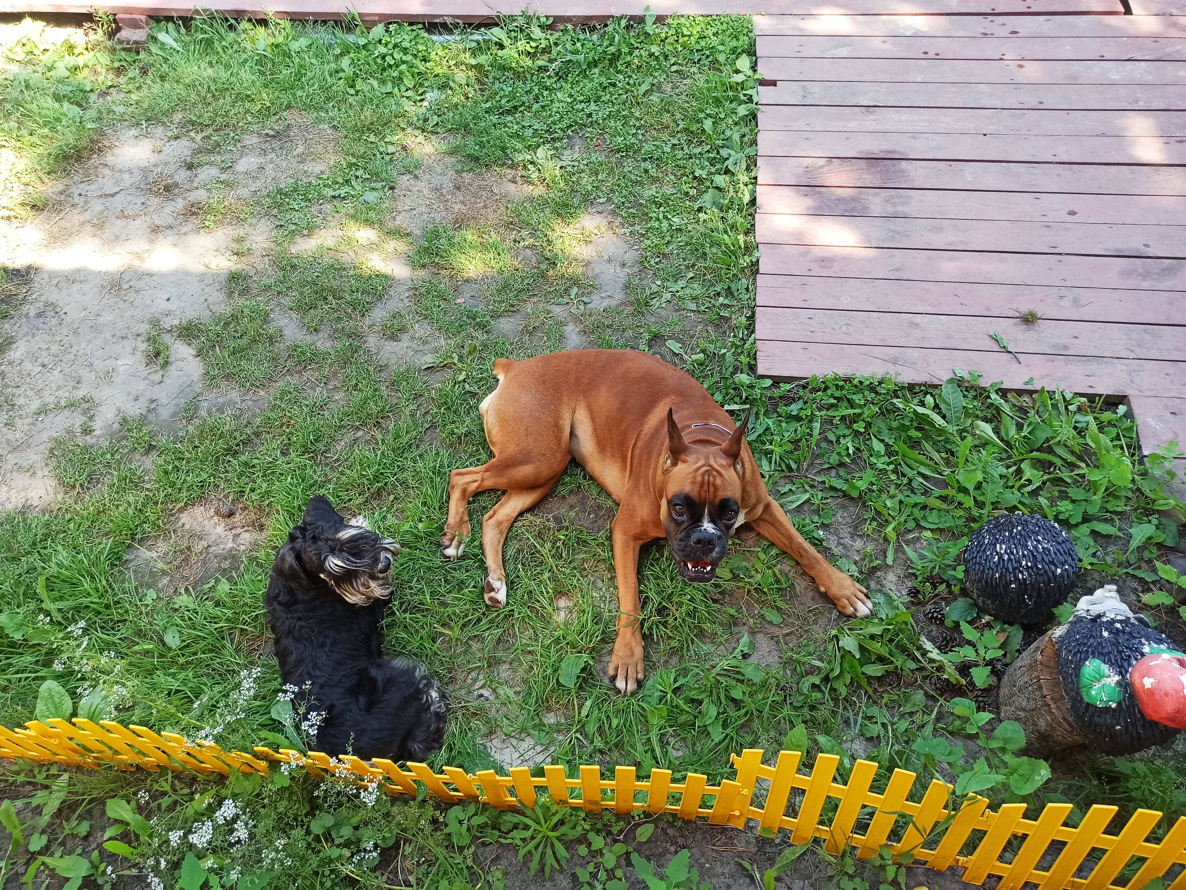 Фото отеля 4