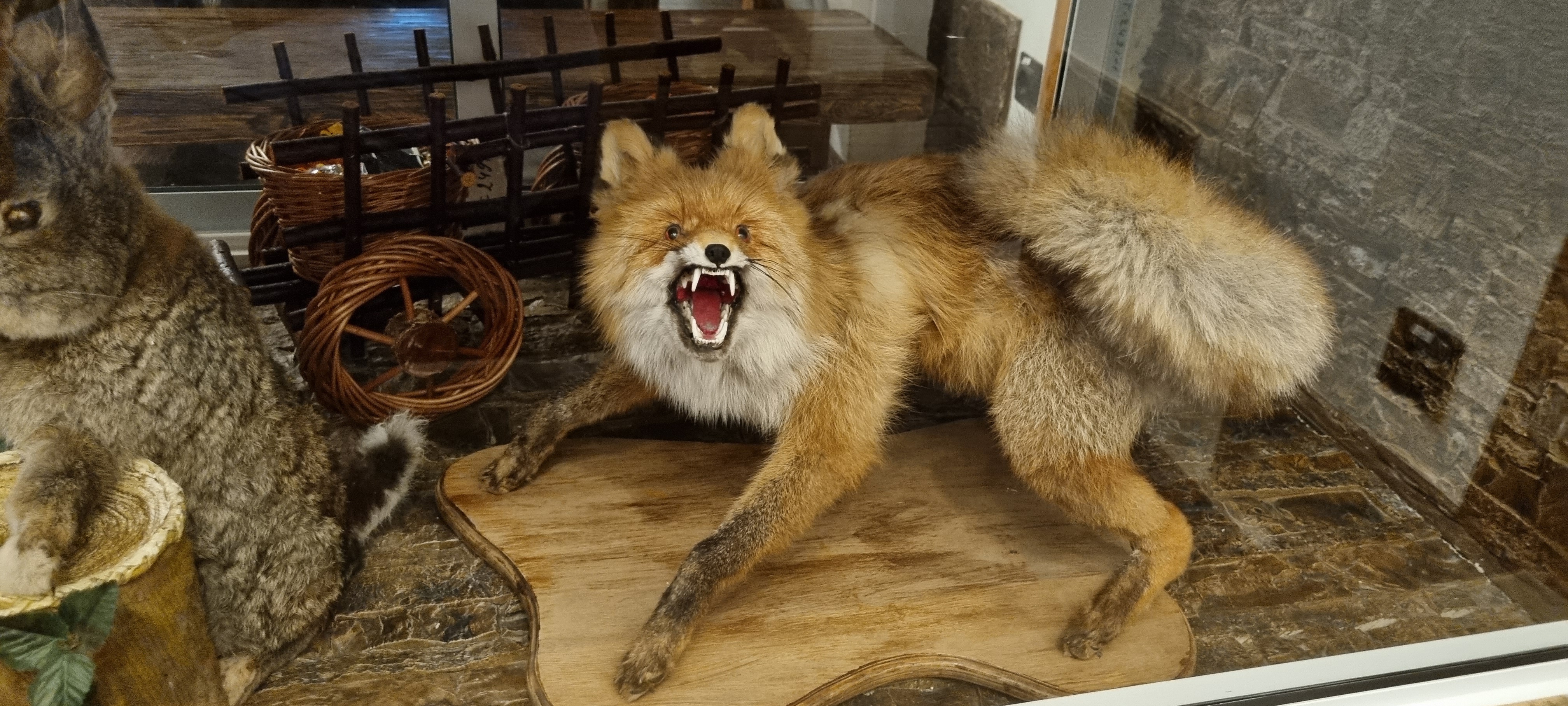 Фото Берёзка