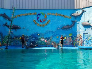 Akvarel (Алушта, улица Горького, 7Д), dolphinarium