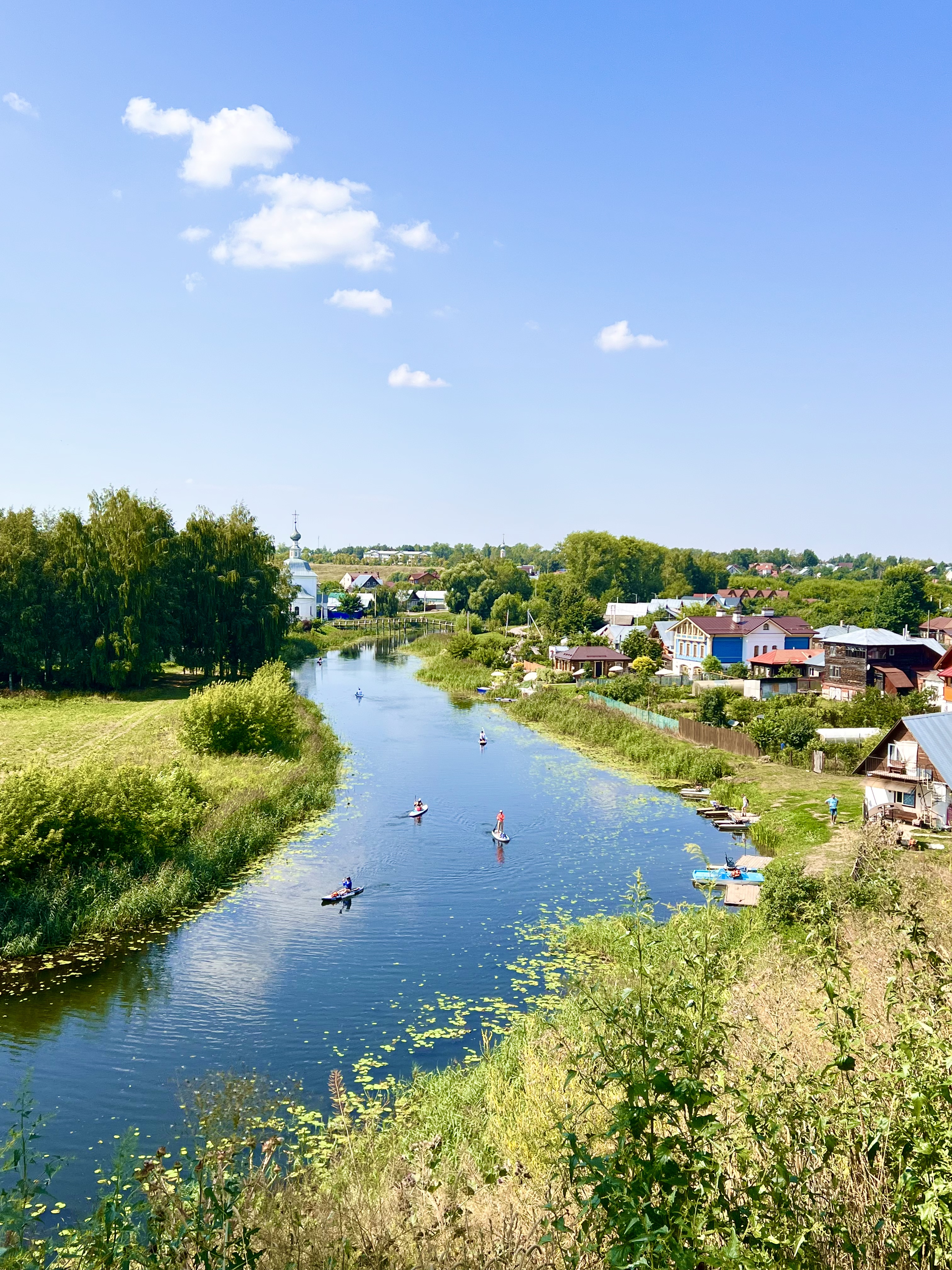 Фото Медоед