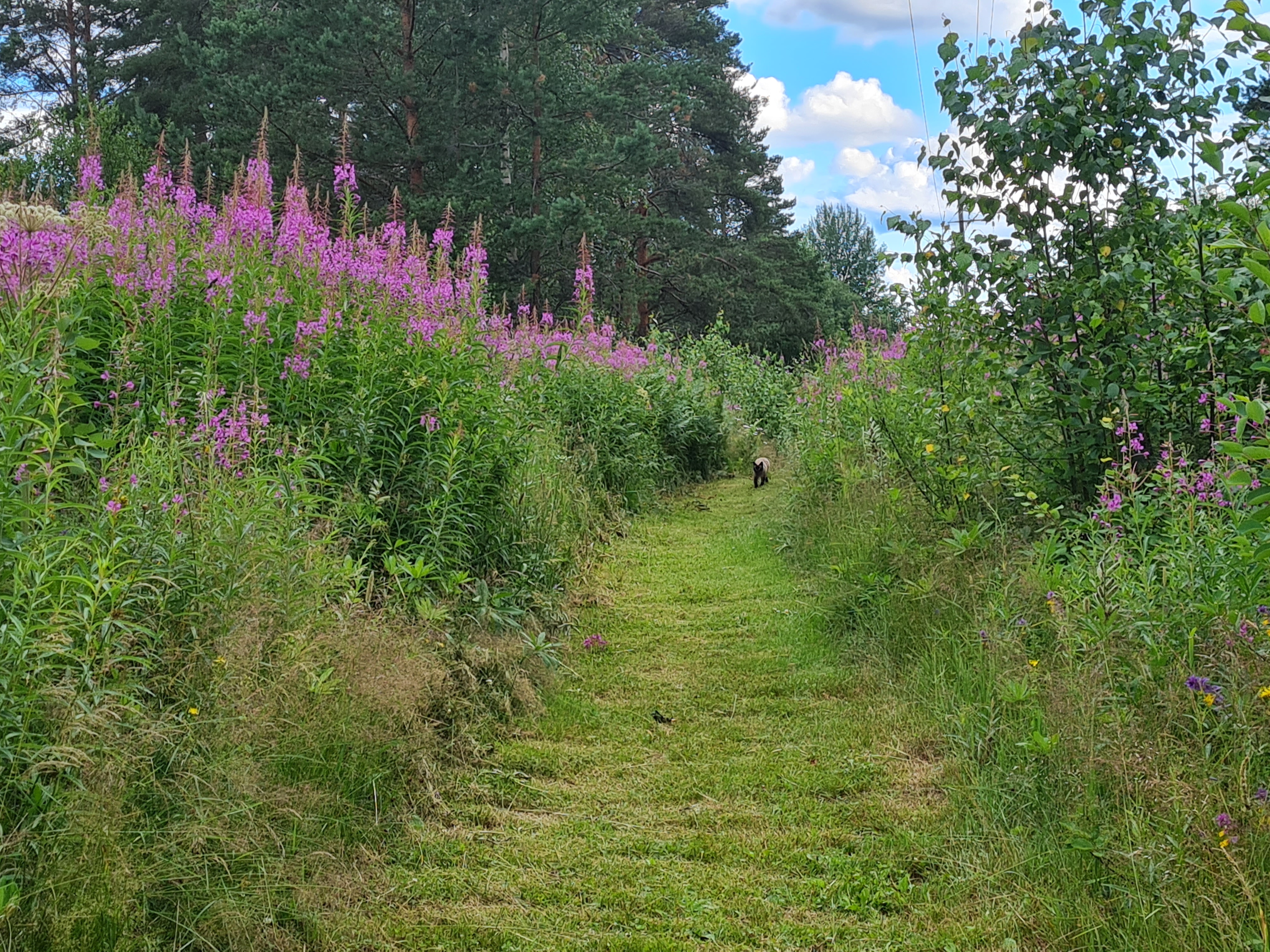 Фото Валдай Пространство мечты