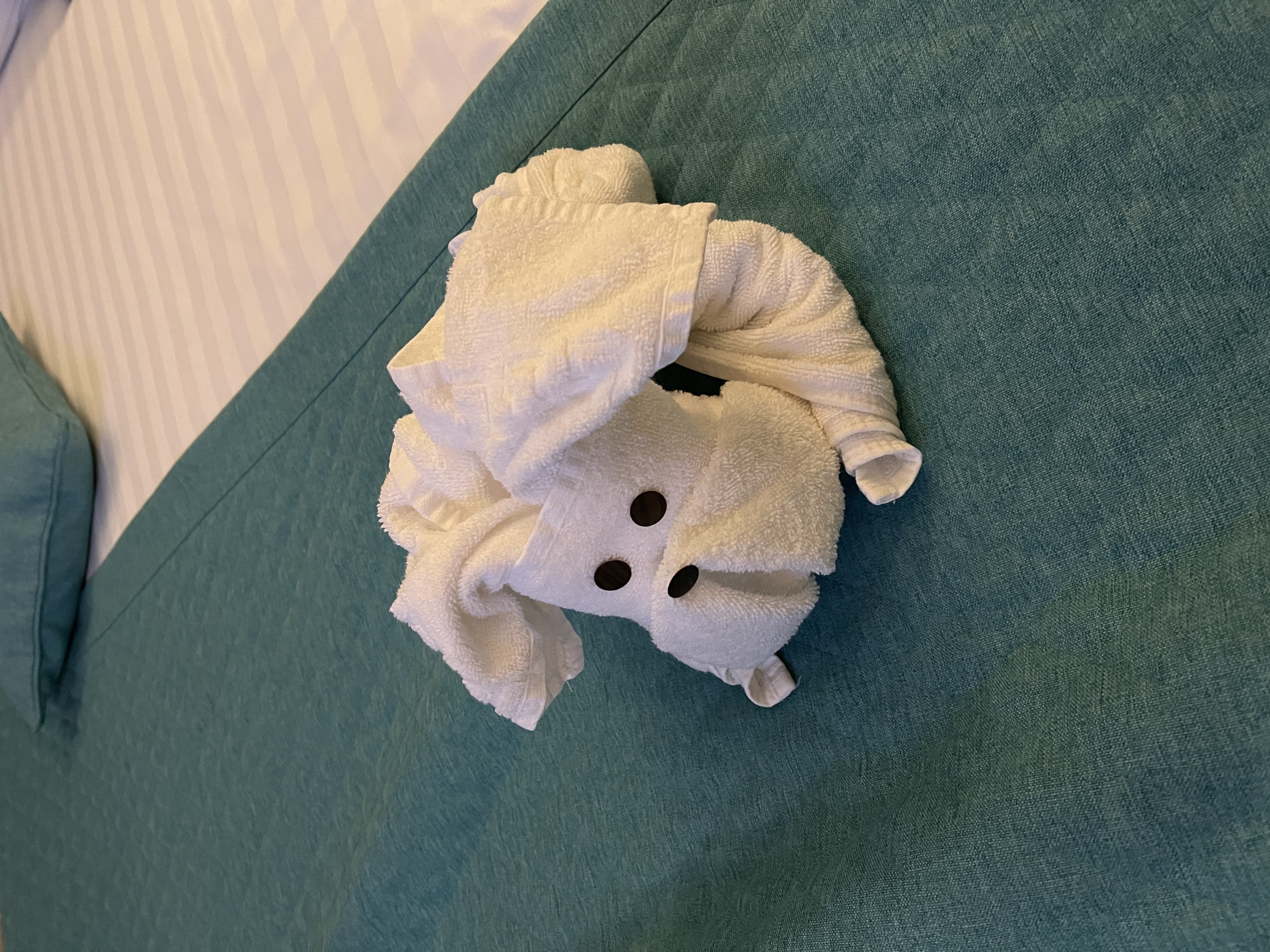 Фото Отель Браун