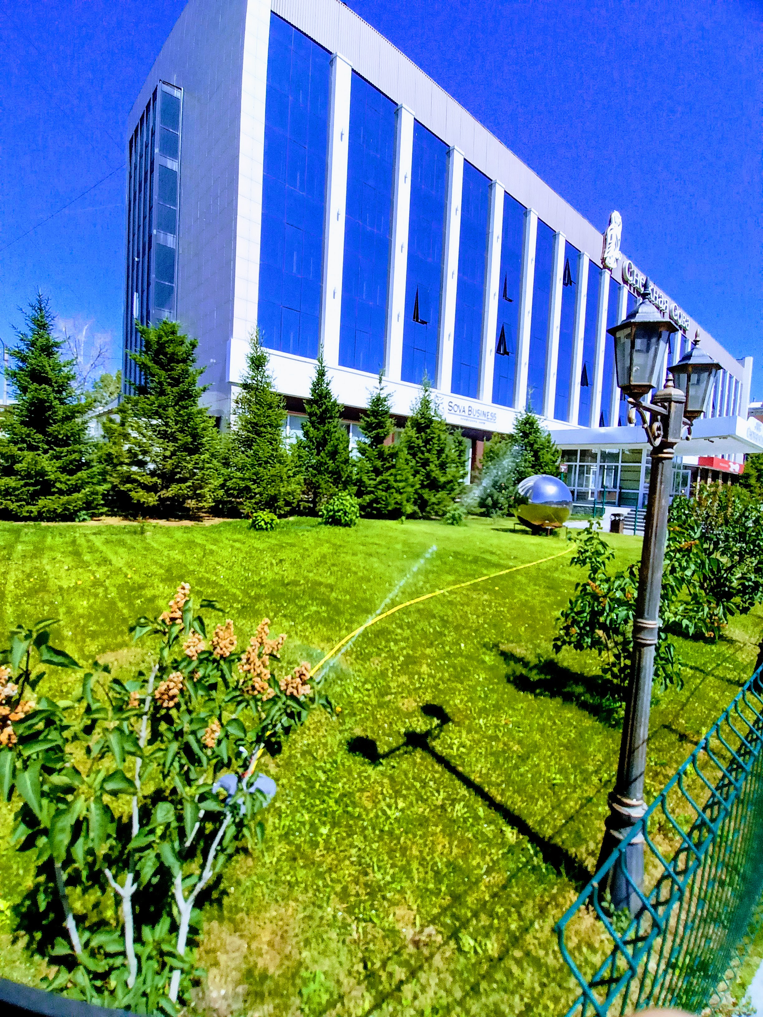 Фото Снежная сова