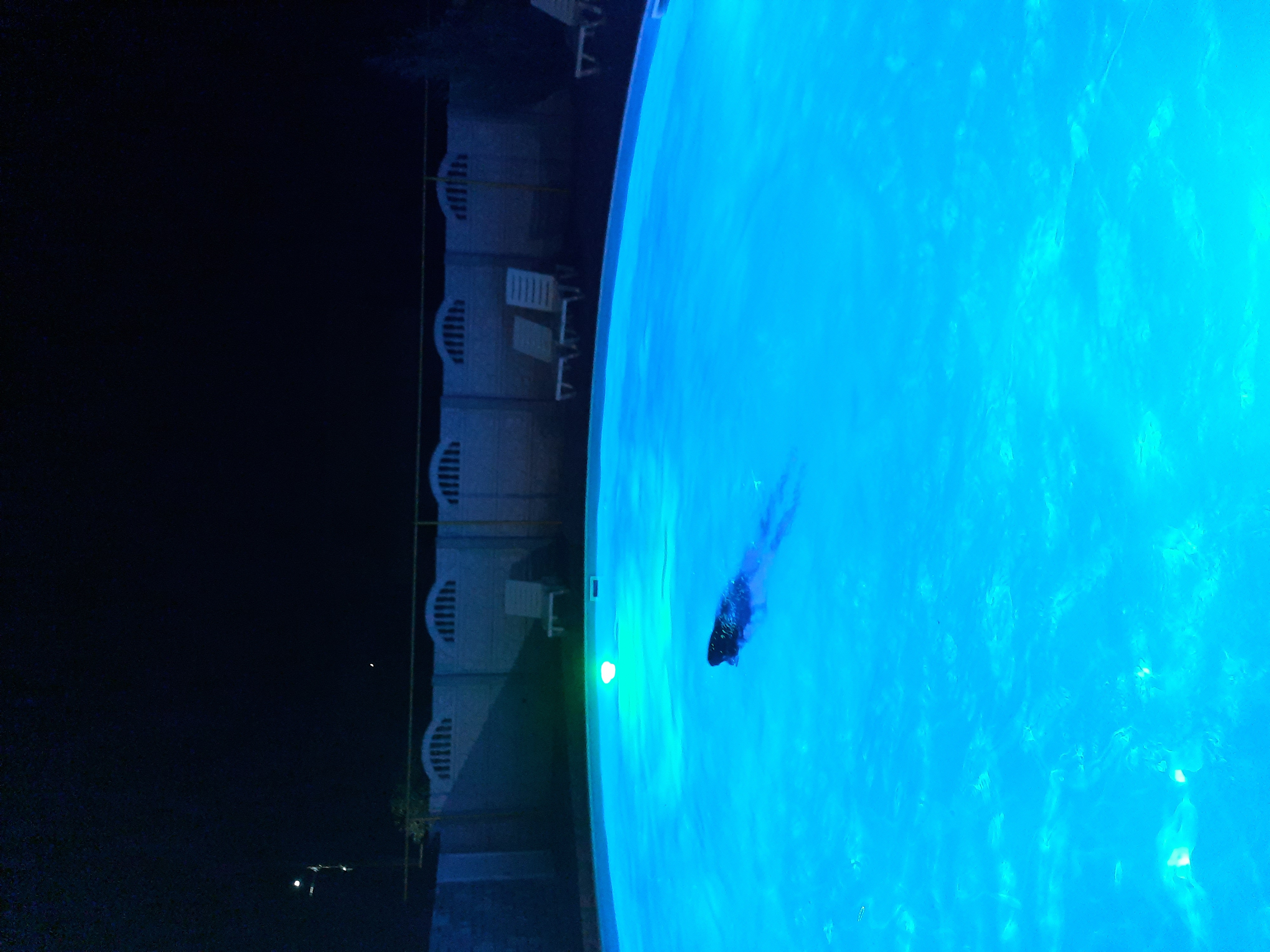 Фото Альтера