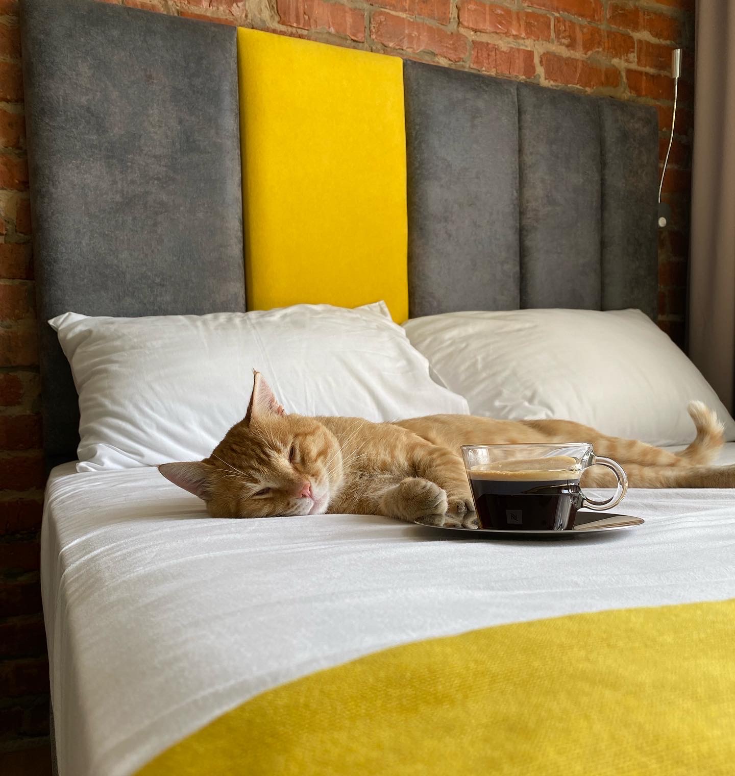 Фото Городской Бутик