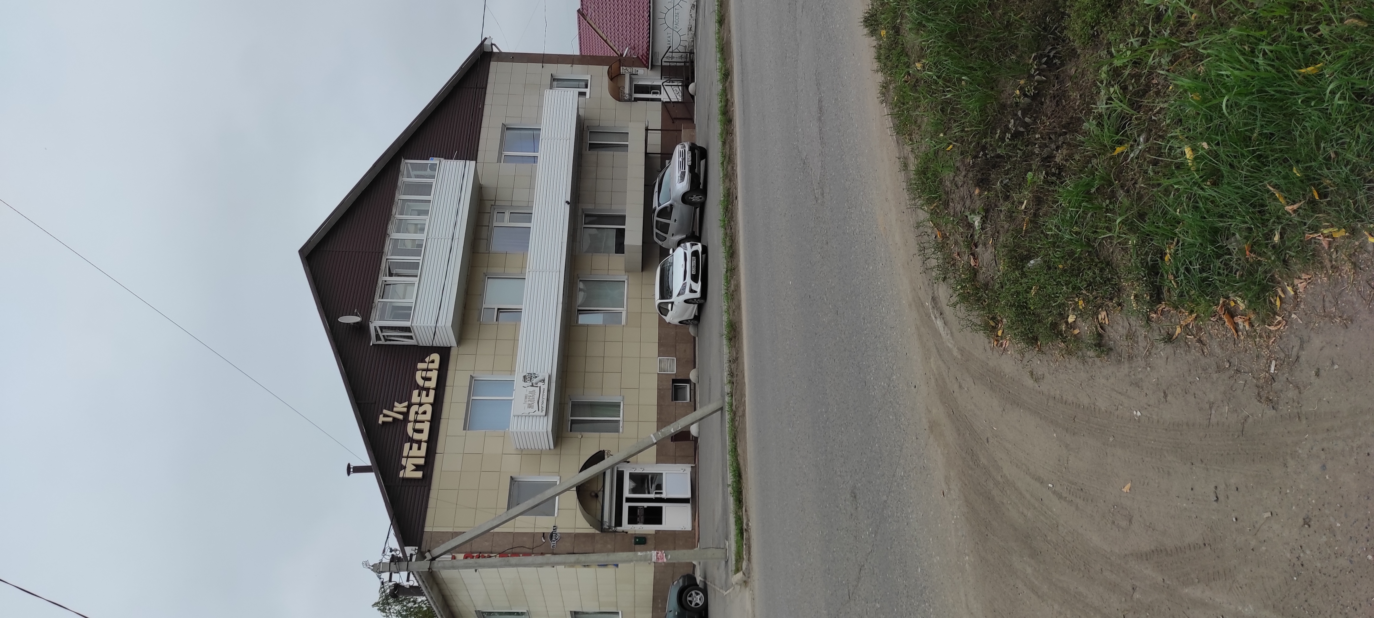 Фото Медведь