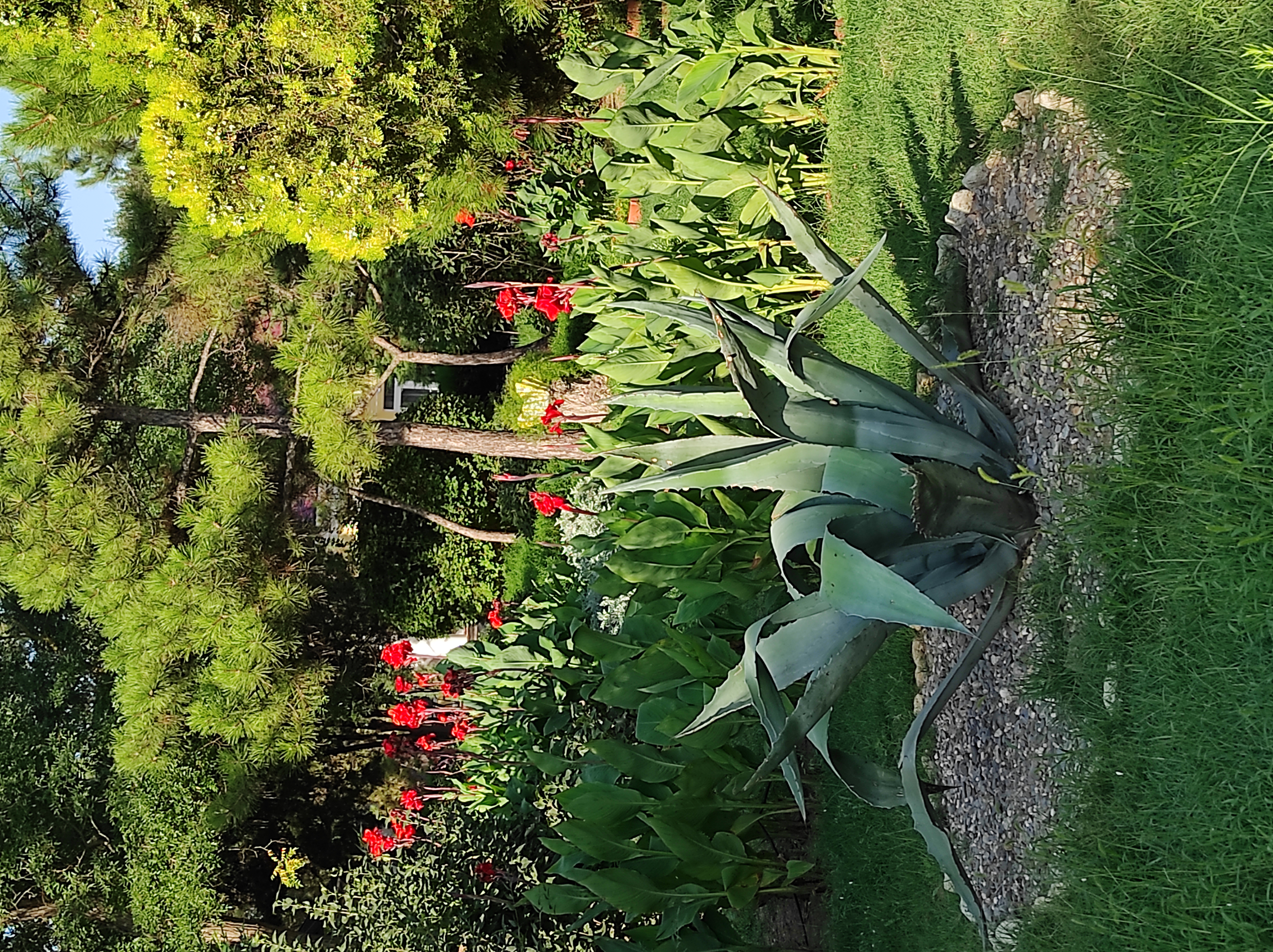 Фото Парк-отель Романова