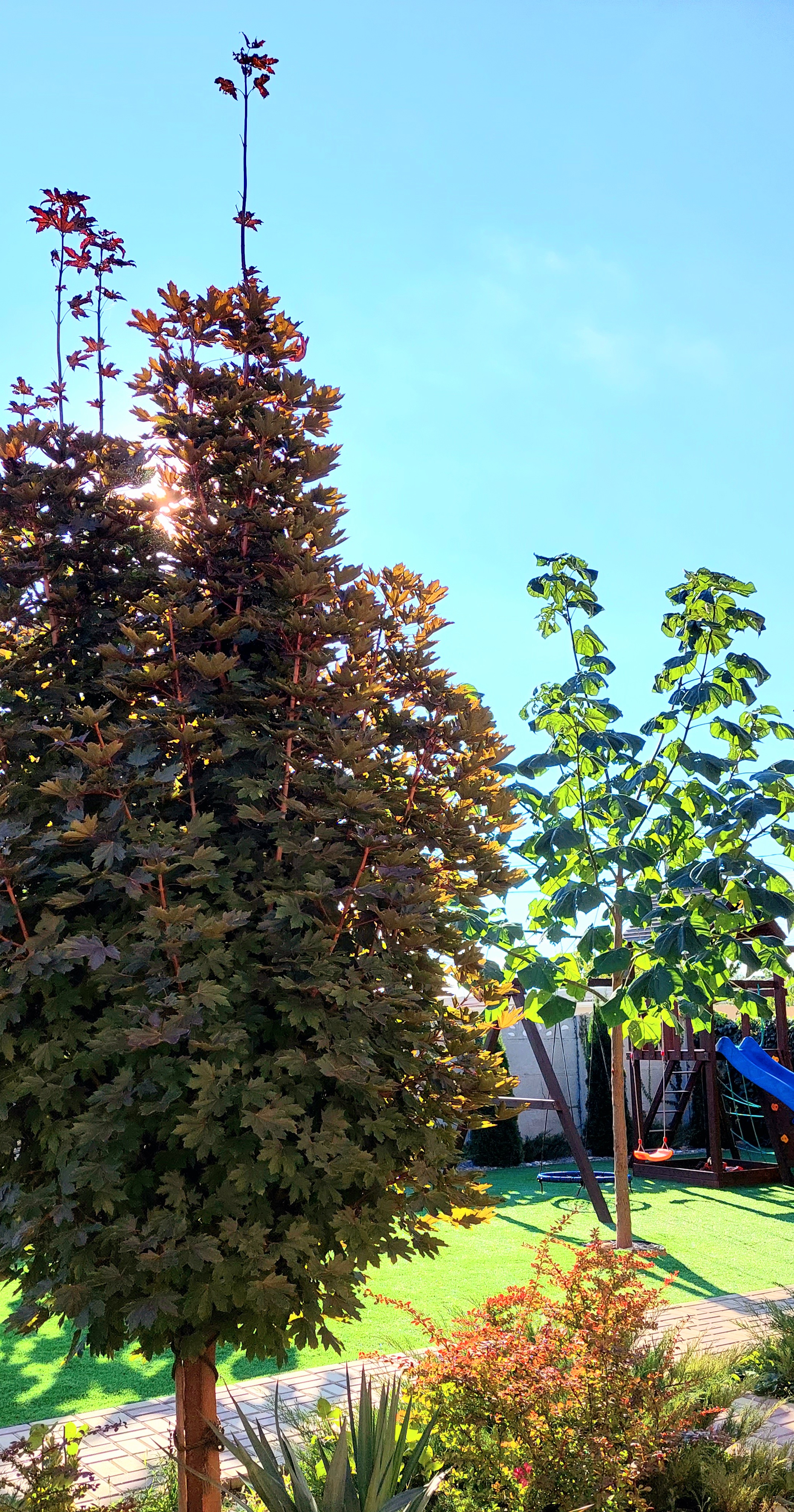 Фото Мелодия моря