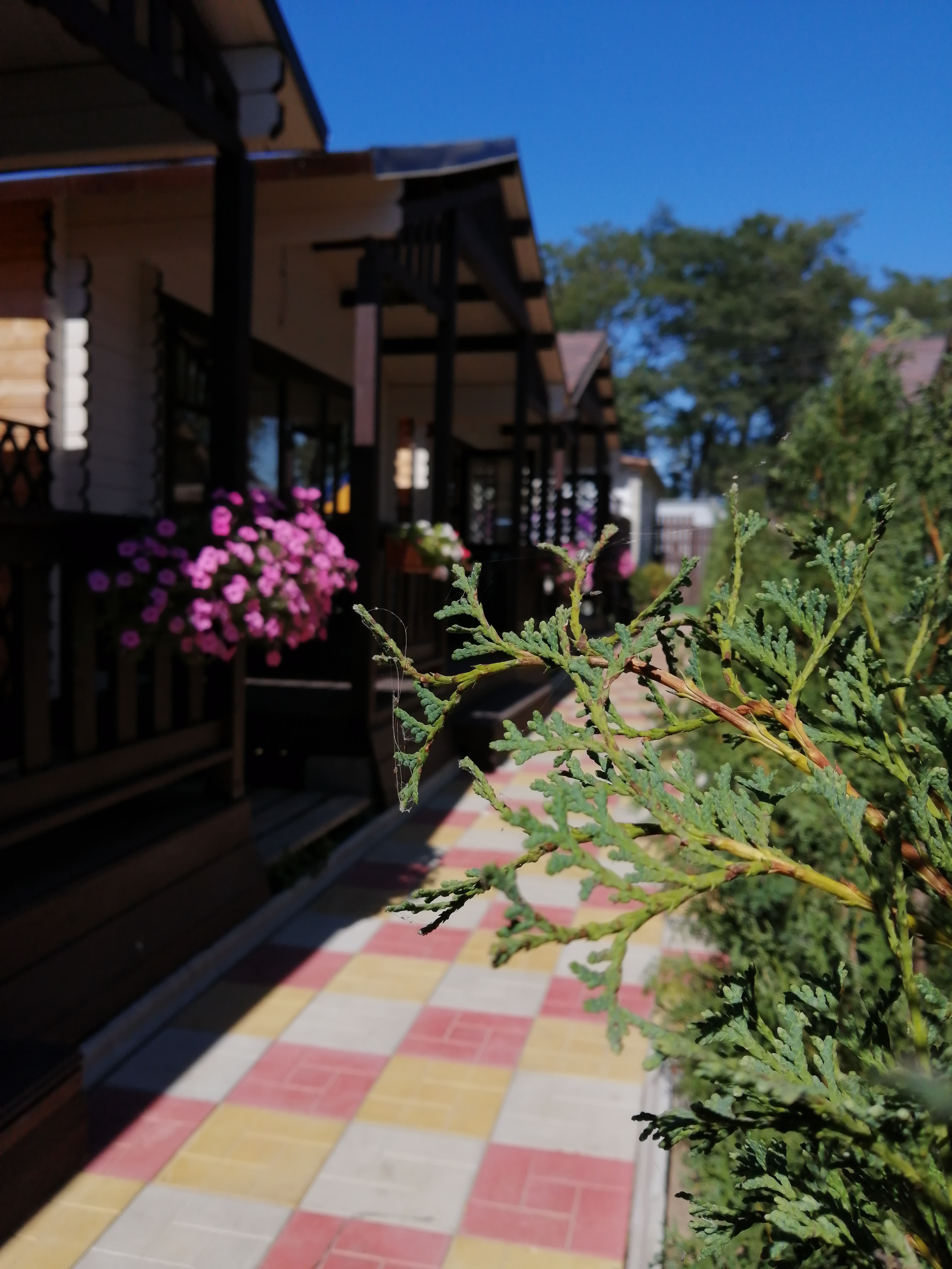 Фото Домики на Черноморской 197