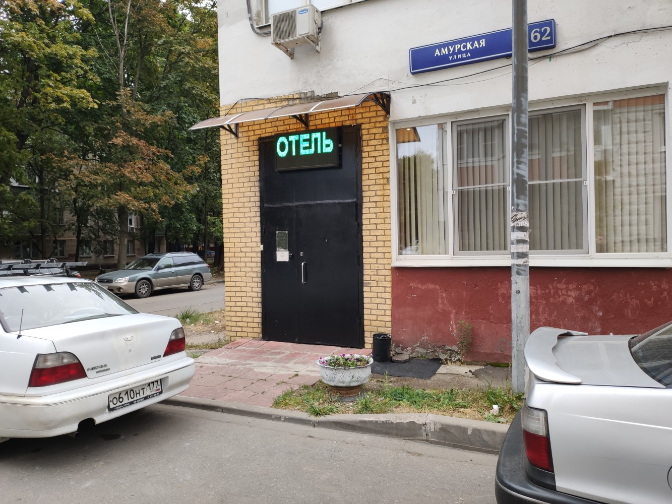 Фото Брусника Амурская