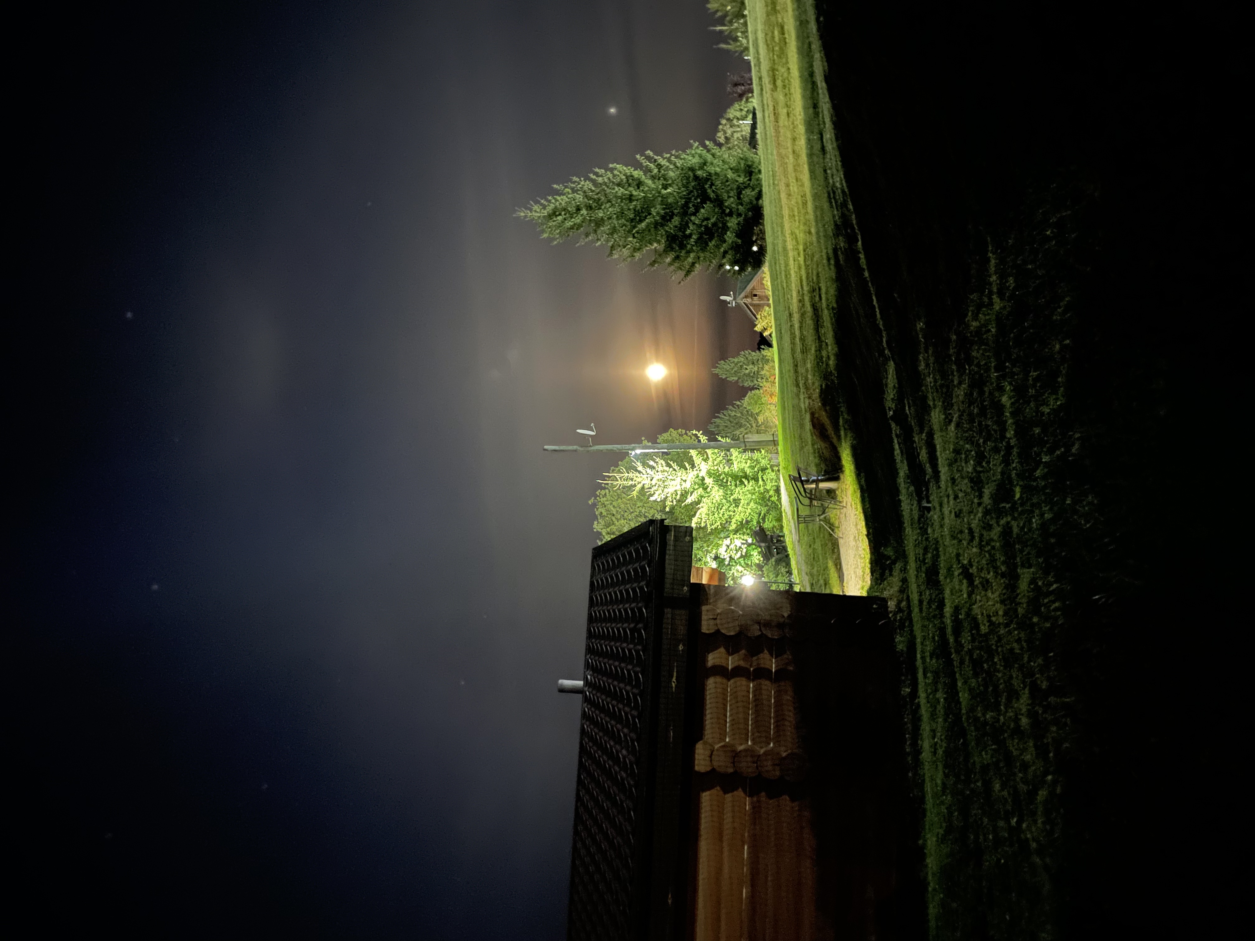 Фото Ламберг