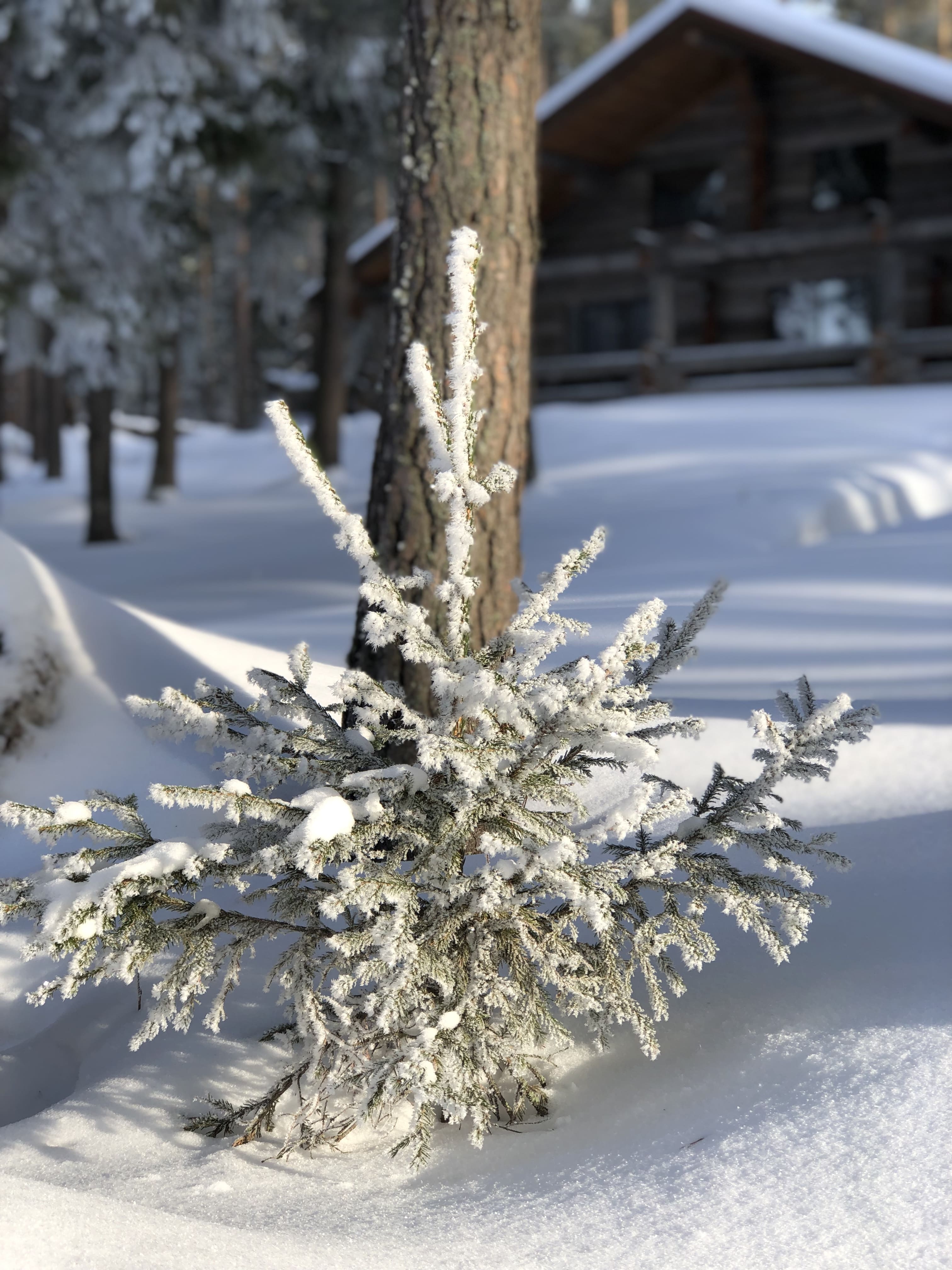 Фото Карелия Медвежка