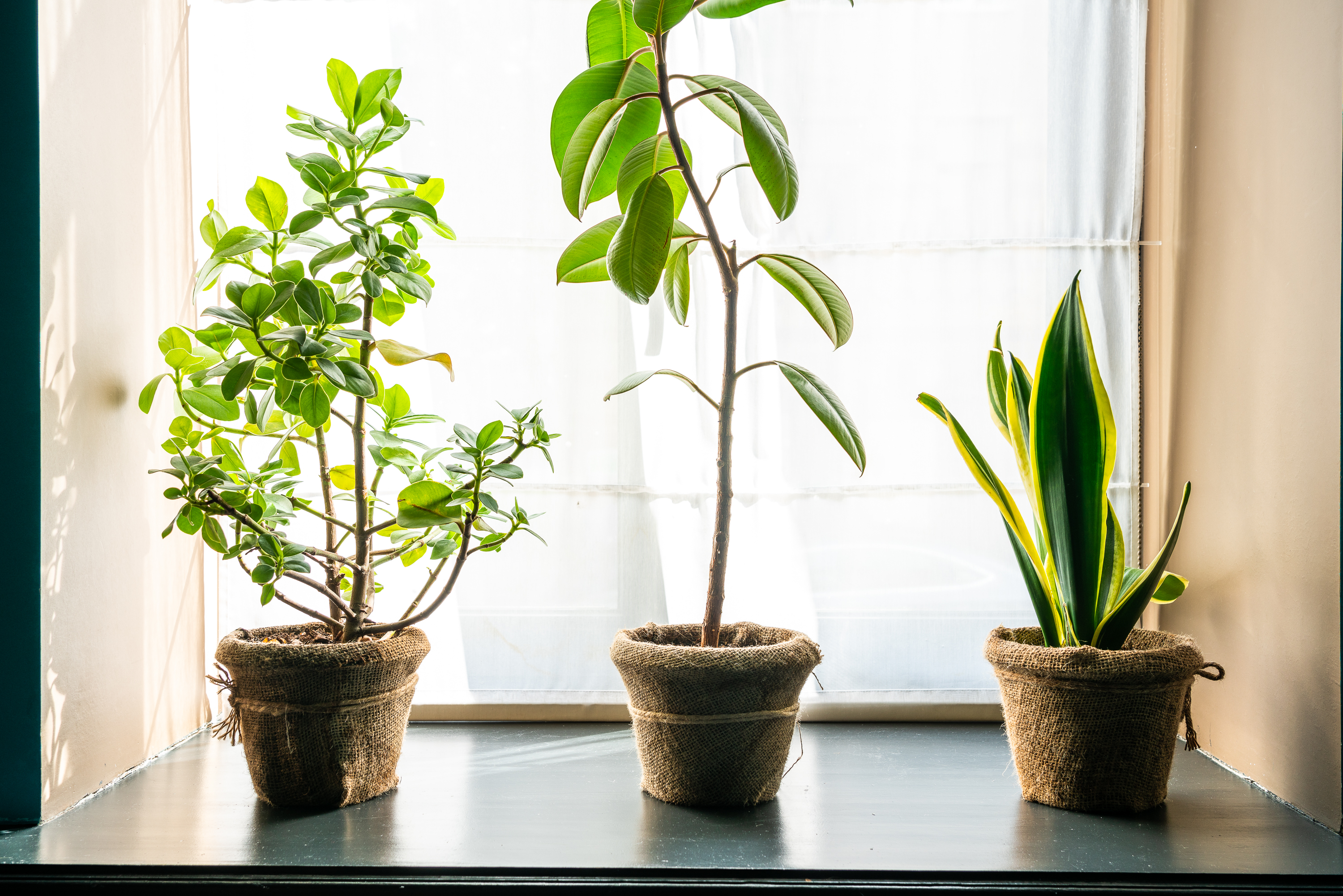 Фото Kvartira № 4 by Ginza Project