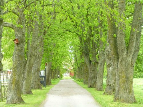 Гостиница Kullagården