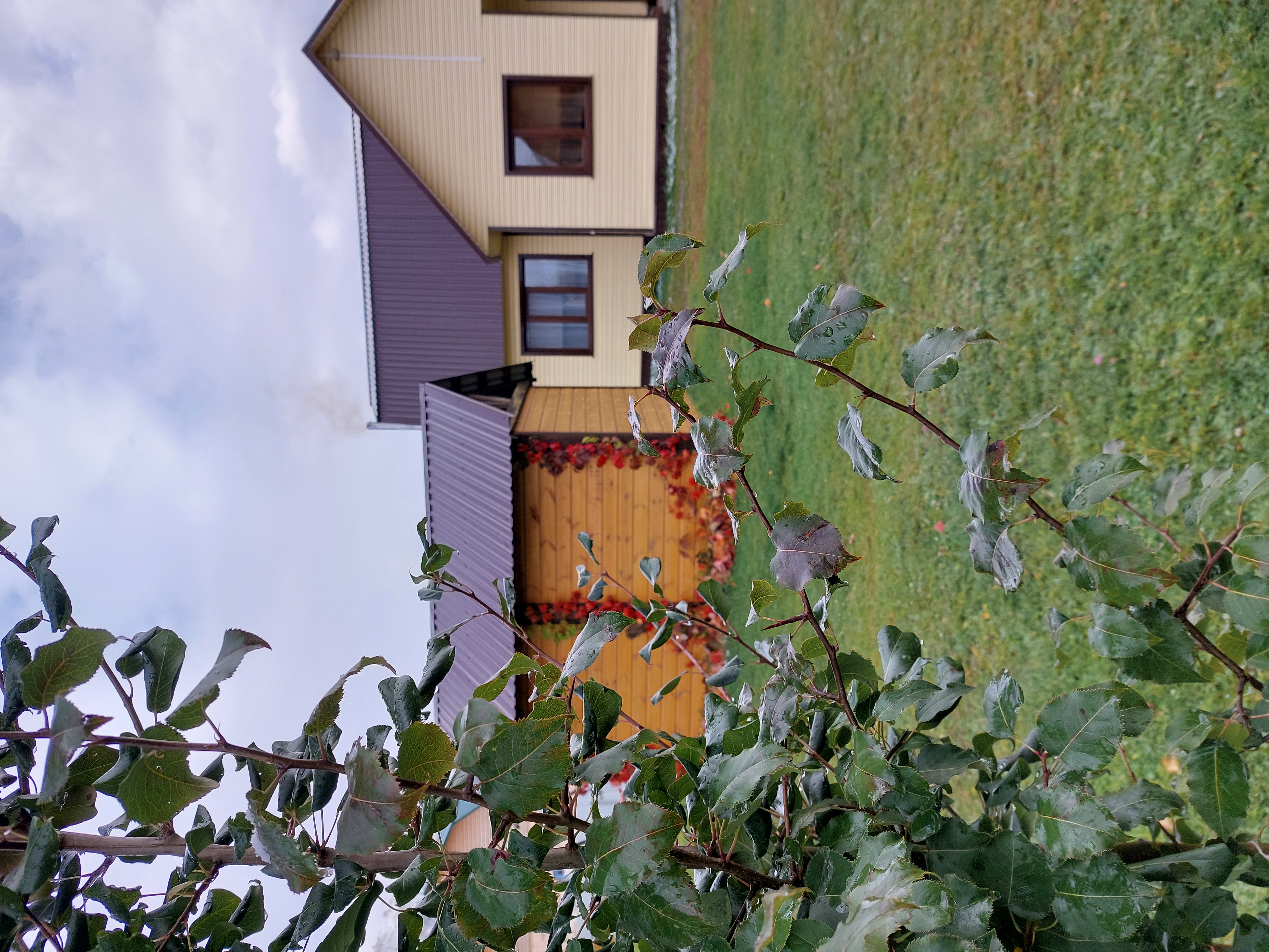 Фото На Чемальской