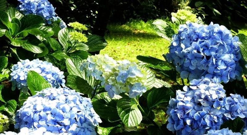 Фото Casa Do Jardim